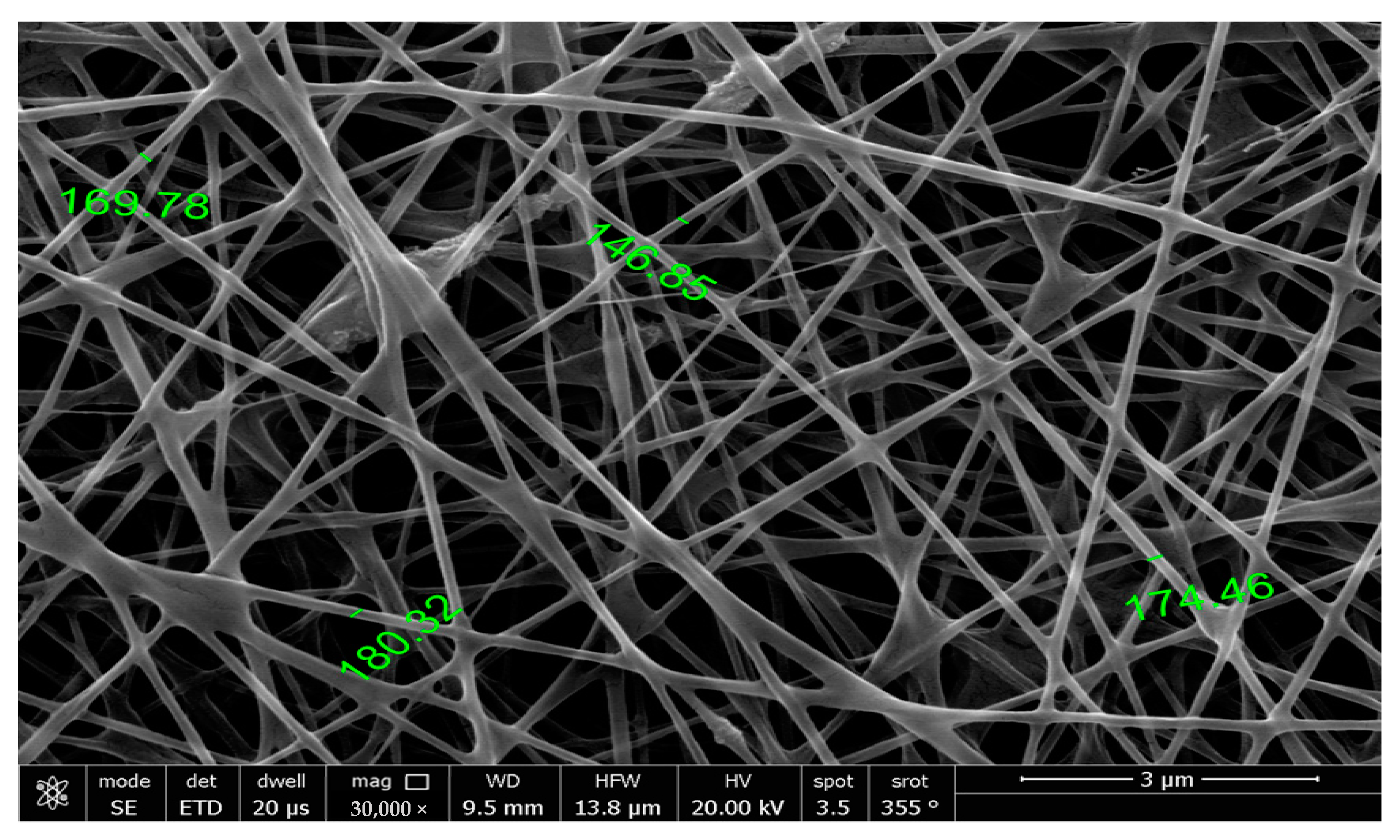 Biosensors 14 00077 g001