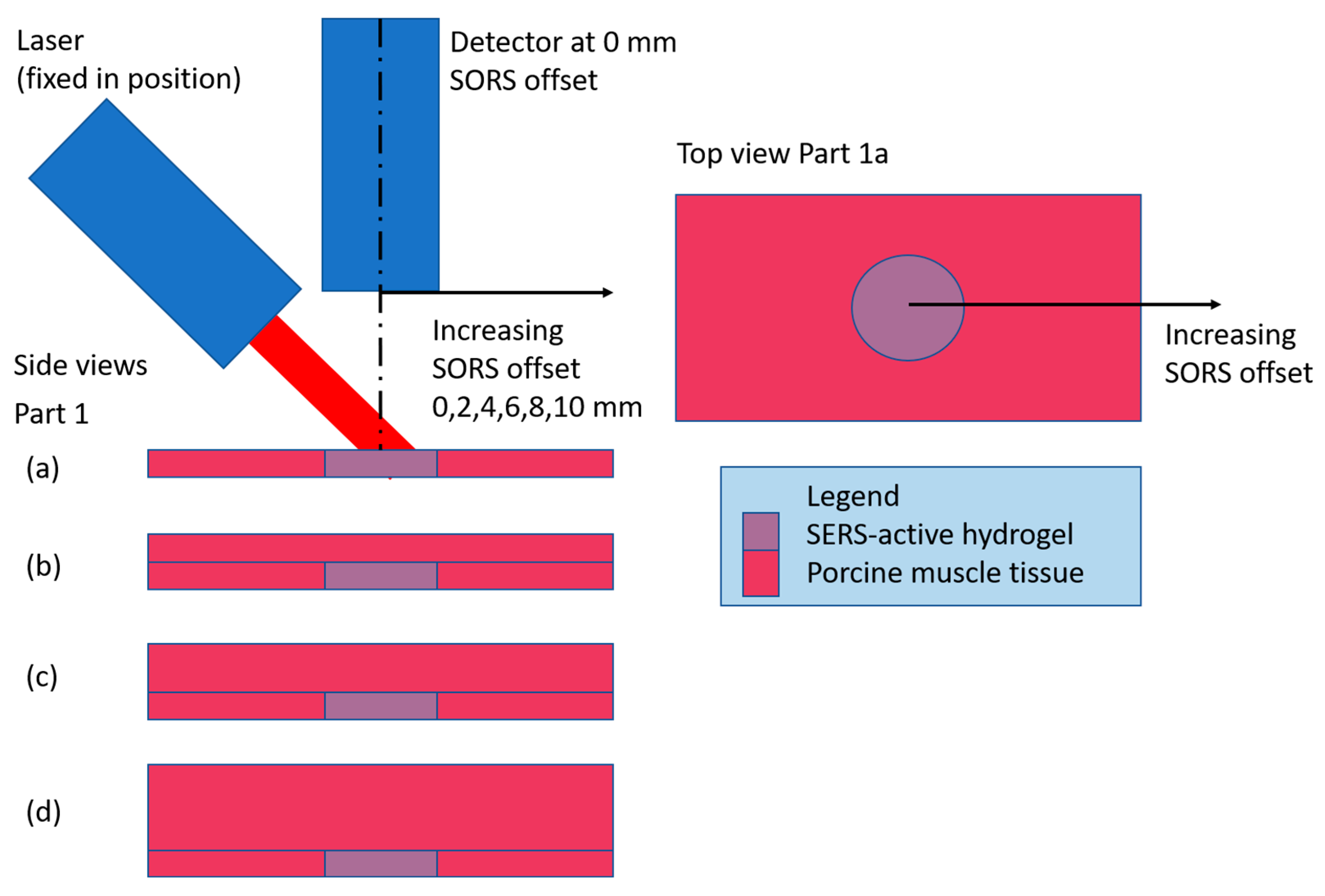 Biosensors 14 00081 g002