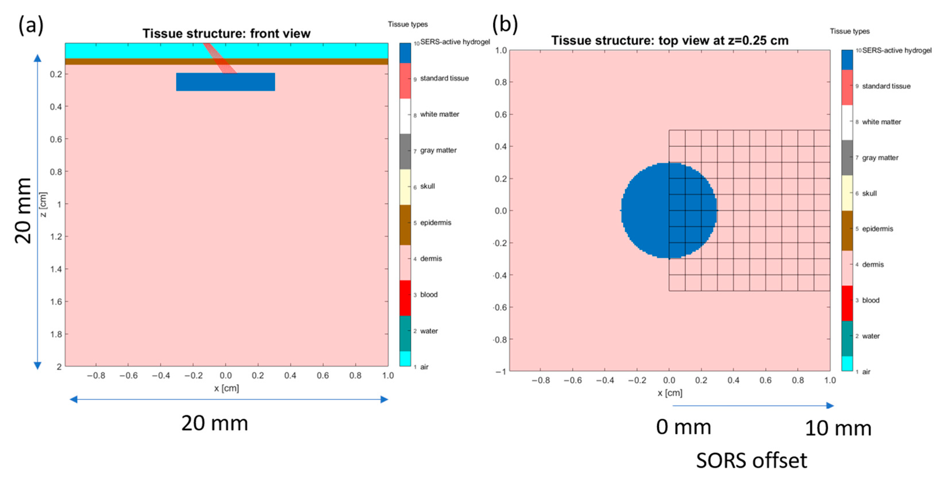 Biosensors 14 00081 g005