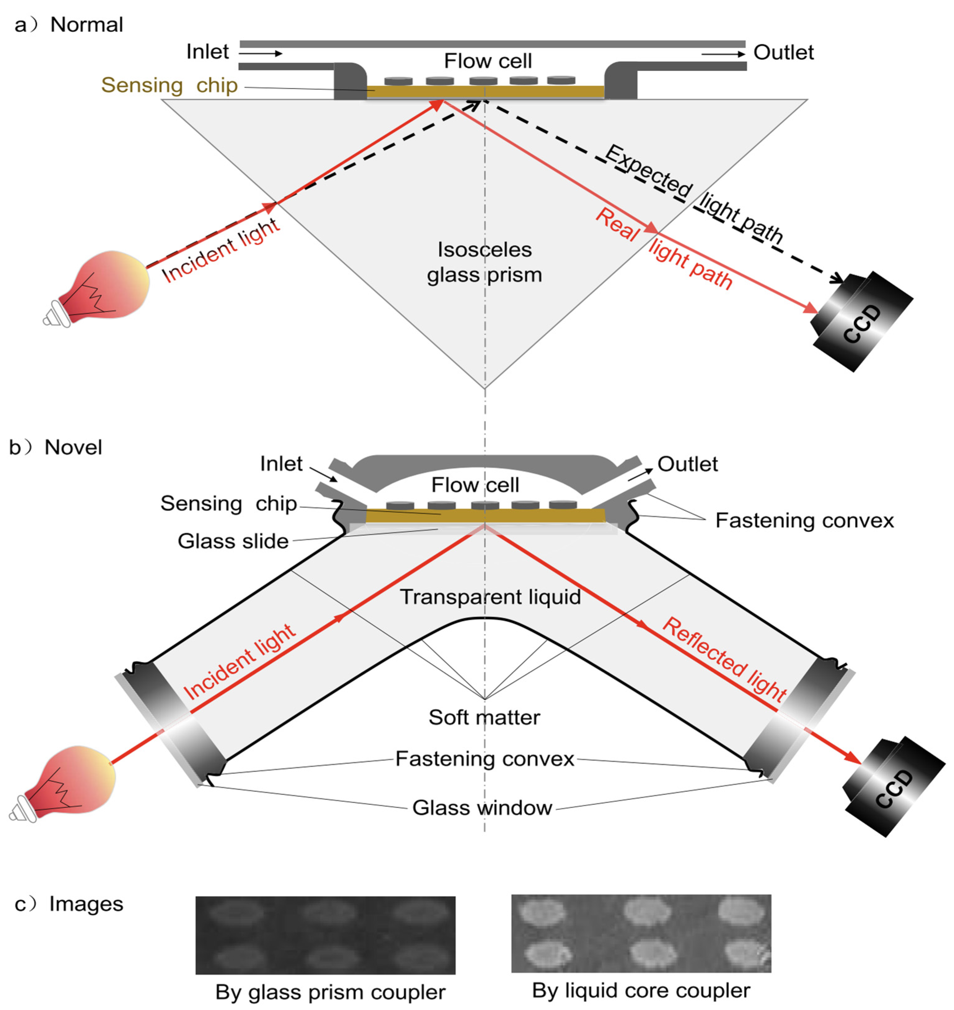 Biosensors 14 00084 g001