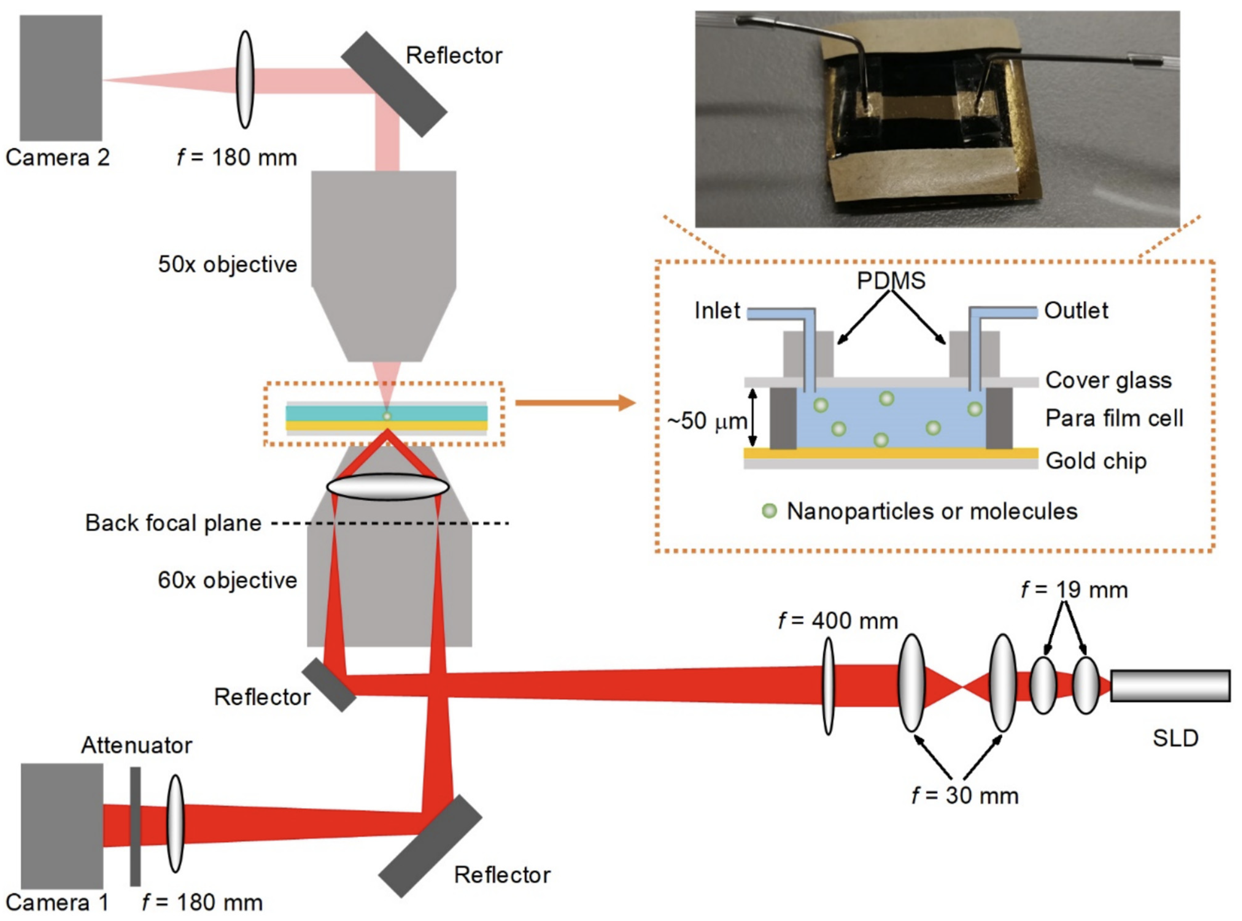 Biosensors 14 00084 g002