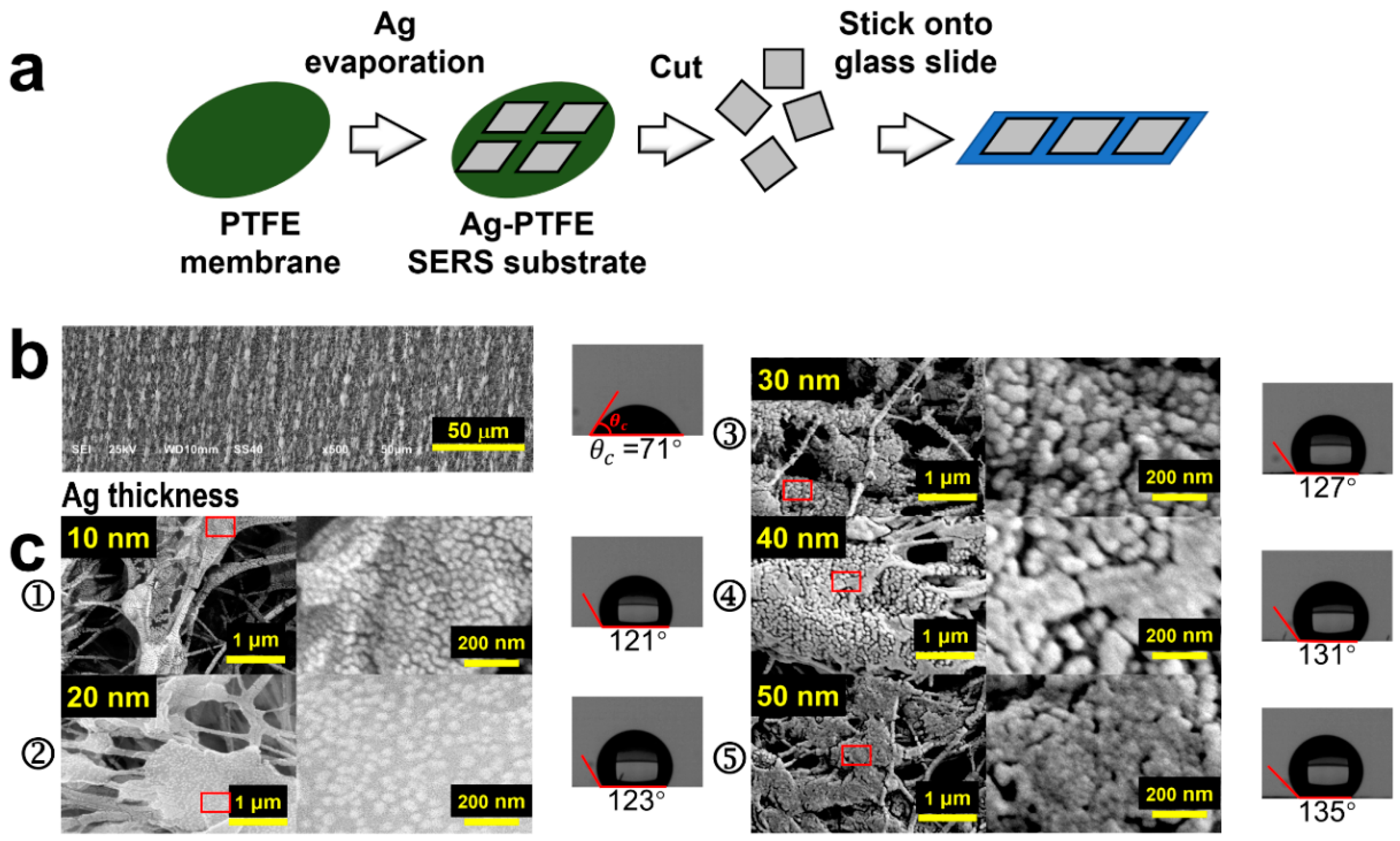 Biosensors 14 00088 g001
