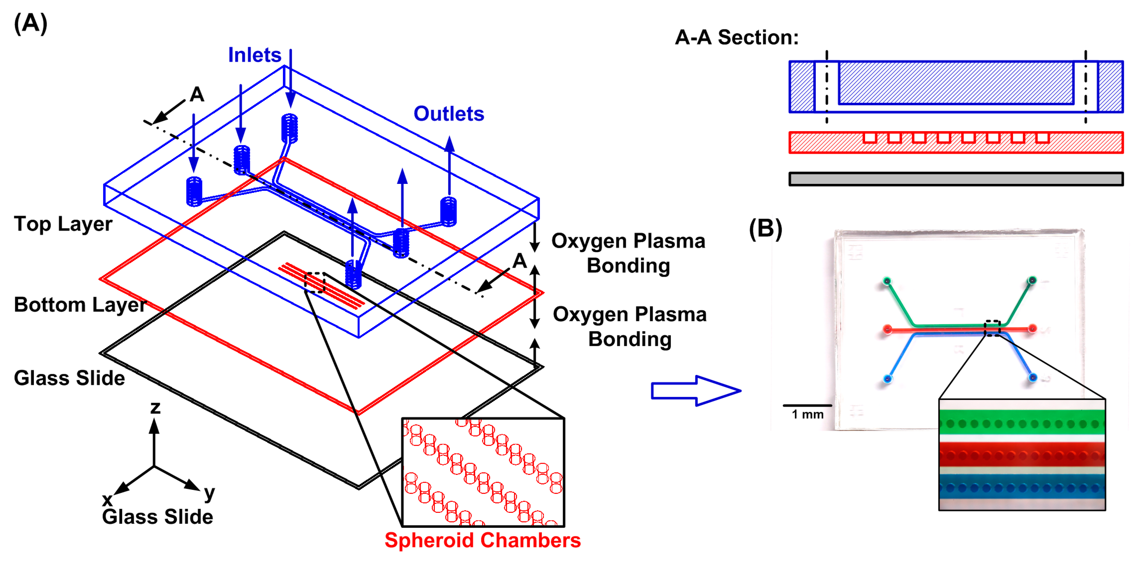 Biosensors 14 00096 g001