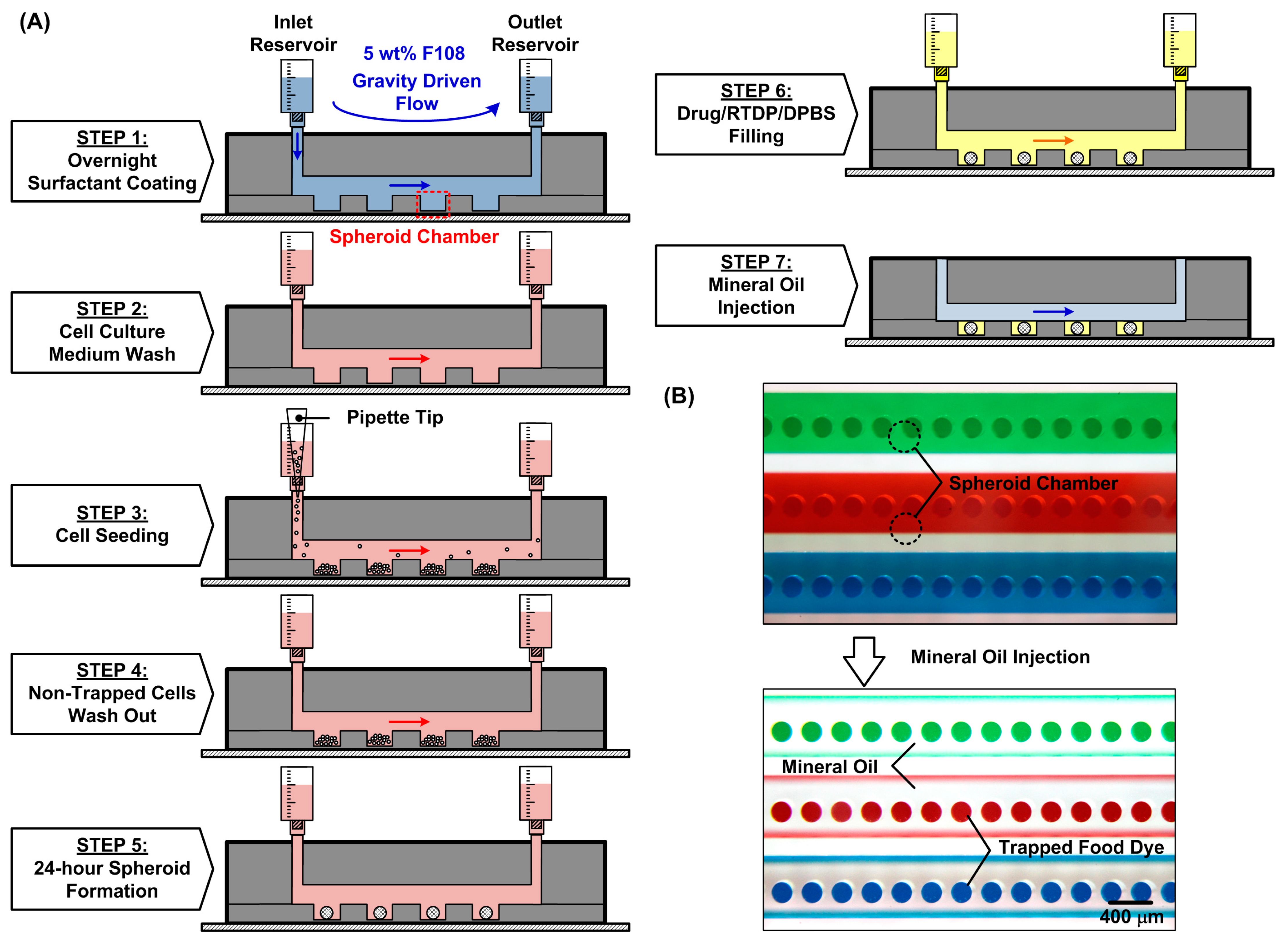 Biosensors 14 00096 g002
