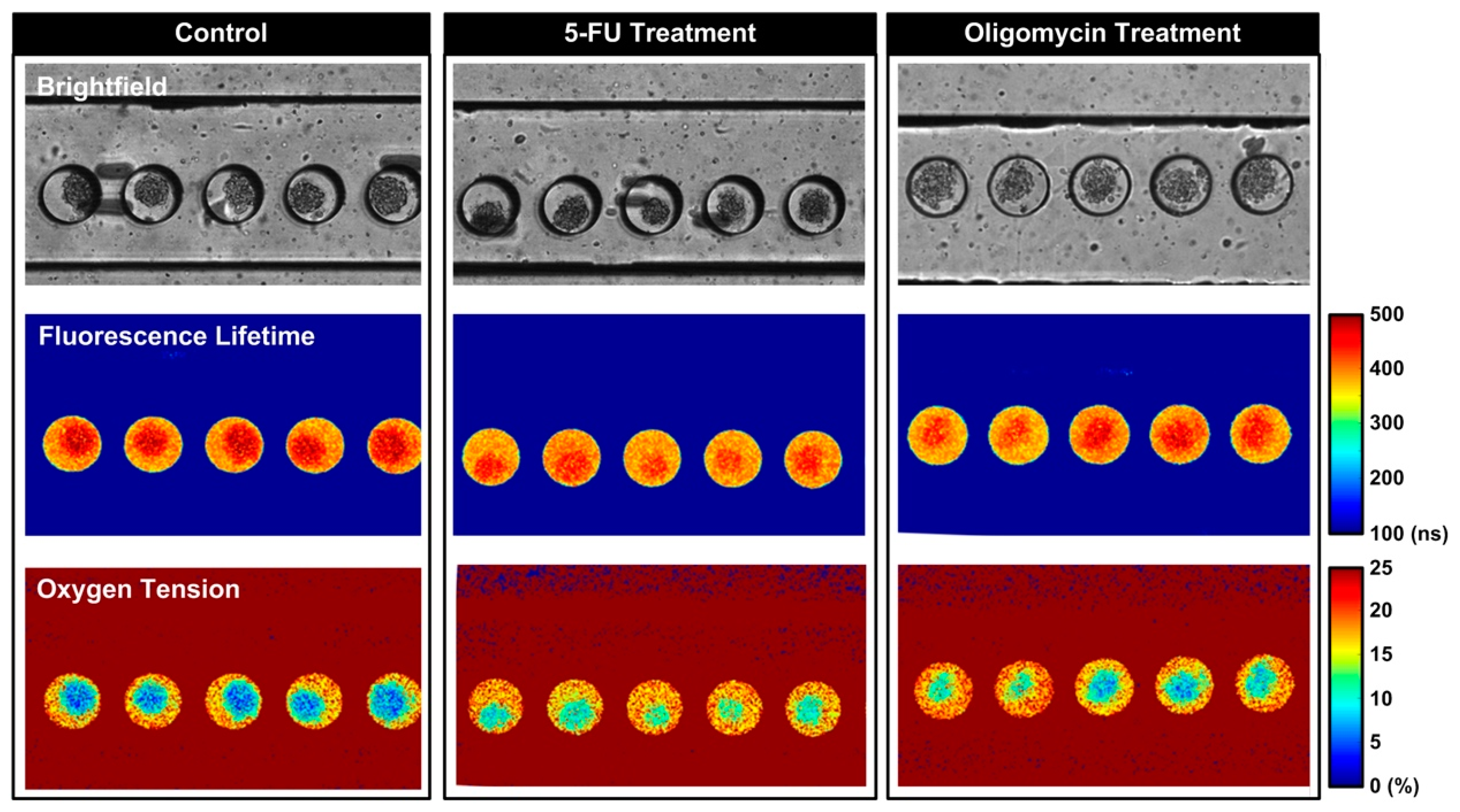 Biosensors 14 00096 g005