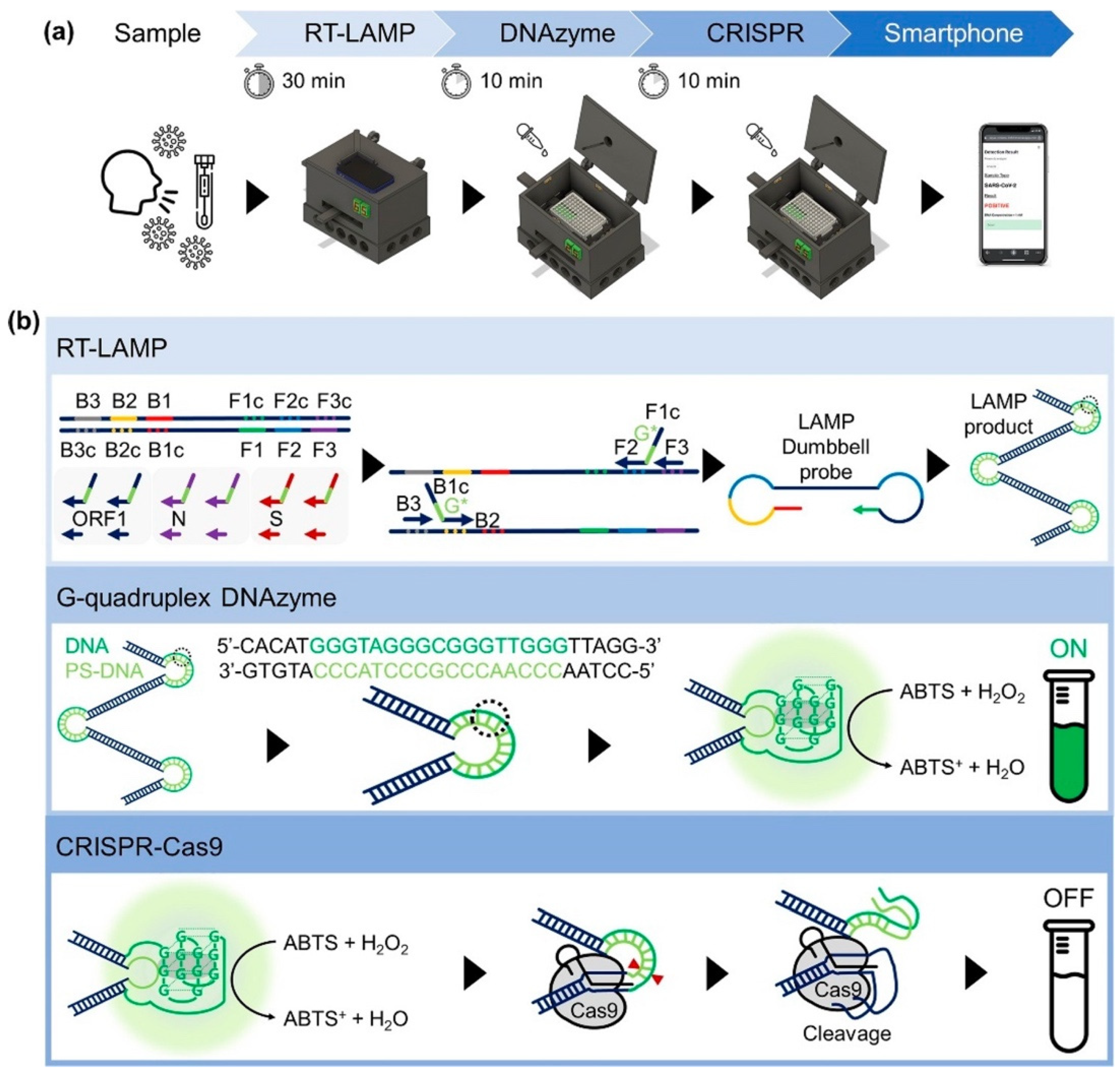 Biosensors 14 00097 g002
