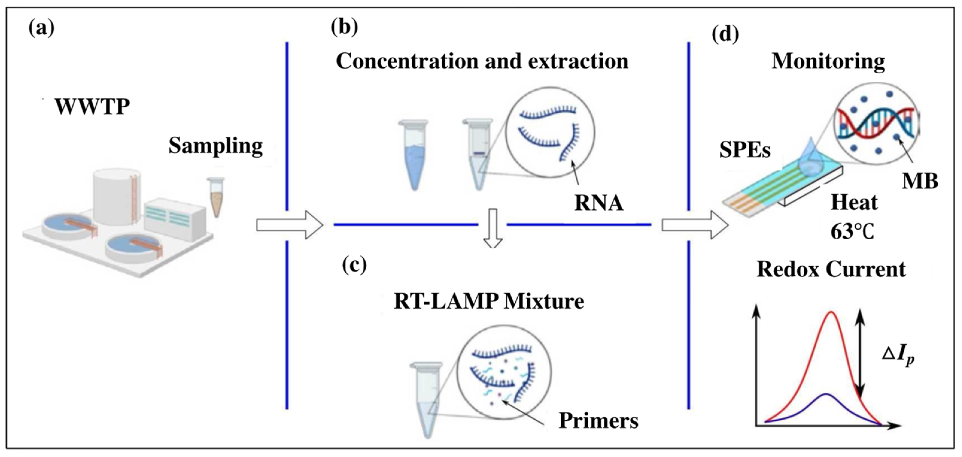 Biosensors 14 00097 g003