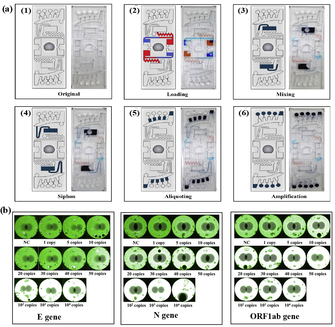 Biosensors 14 00097 g004
