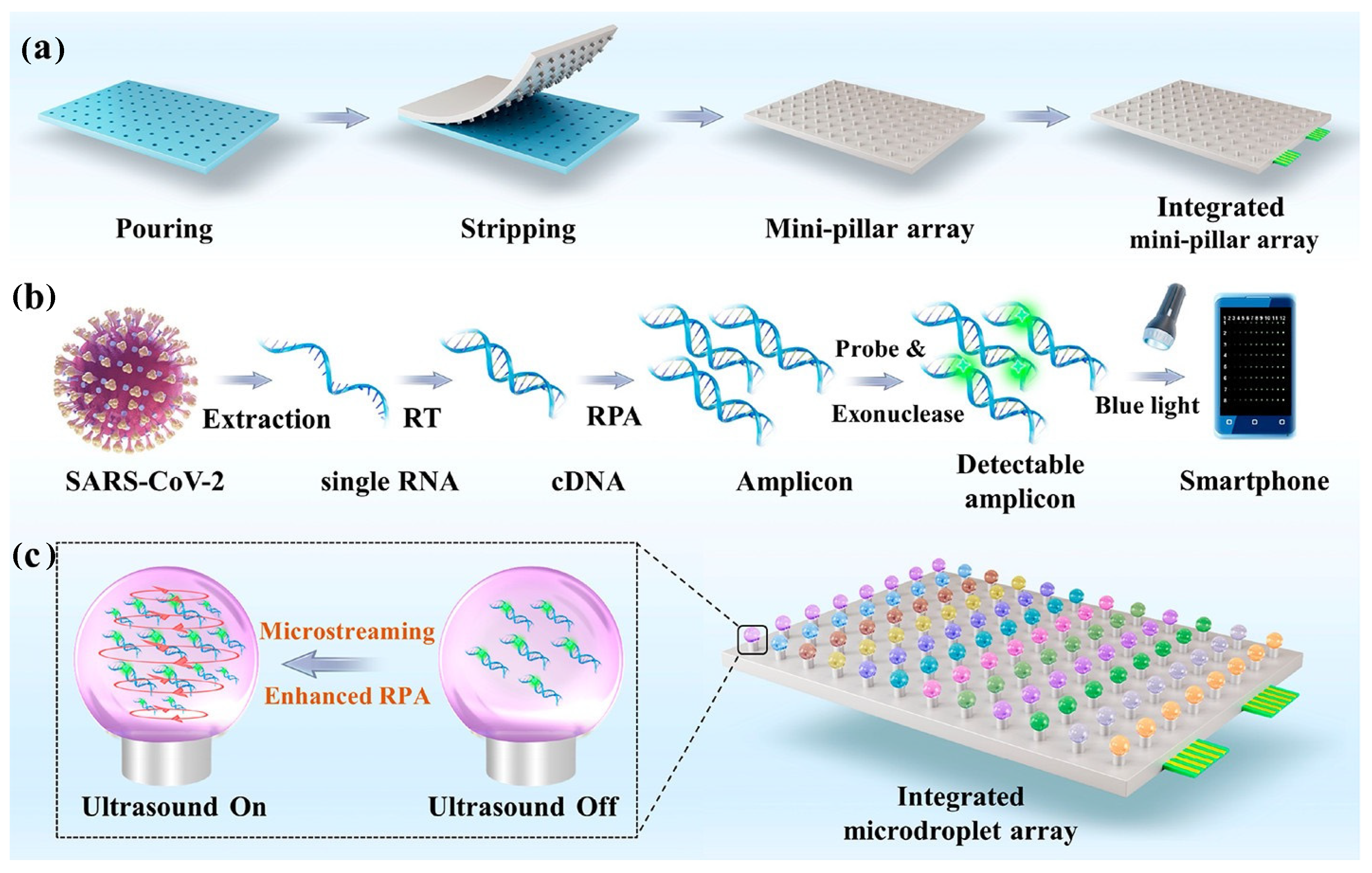 Biosensors 14 00097 g005