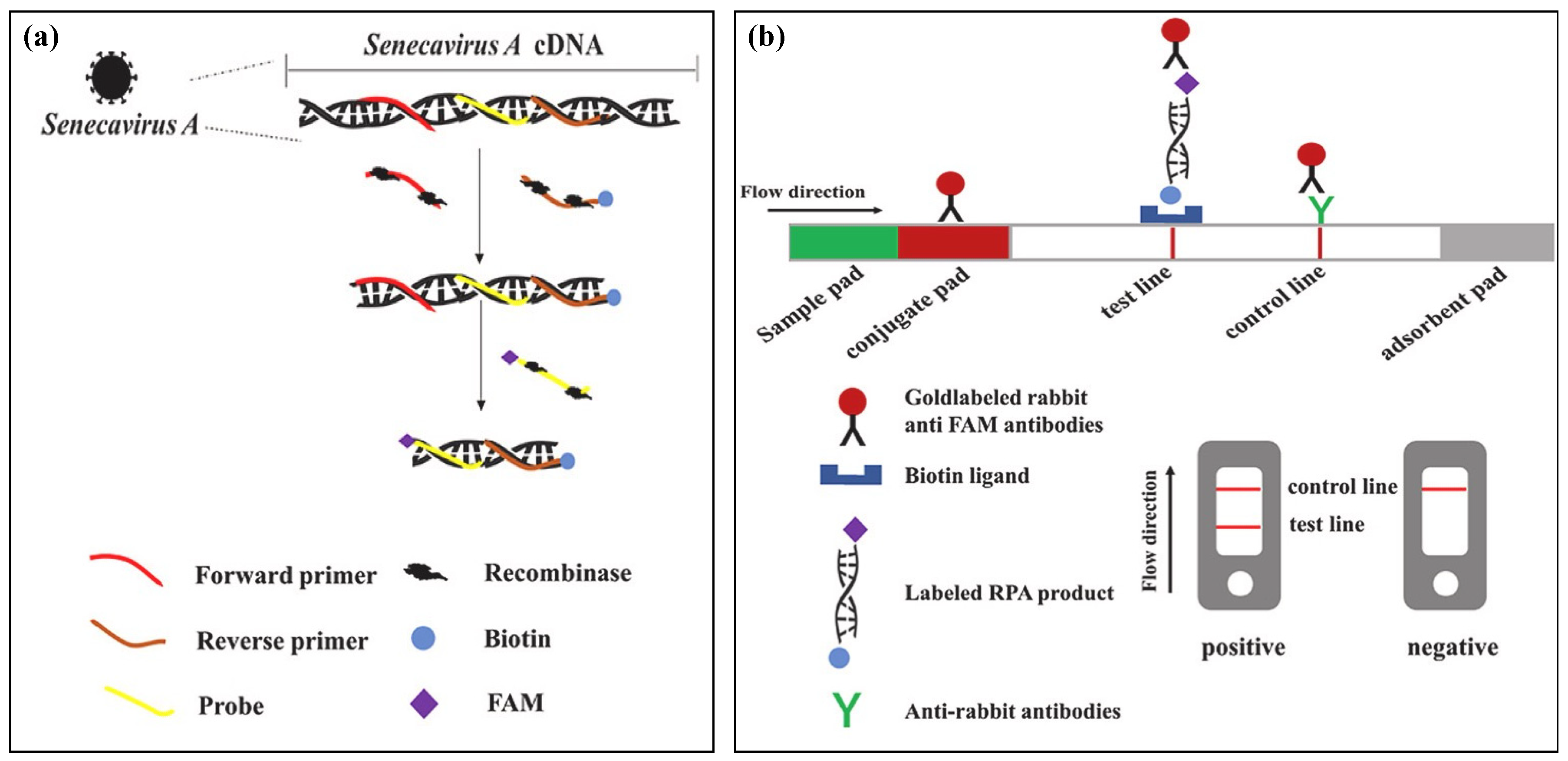Biosensors 14 00097 g006