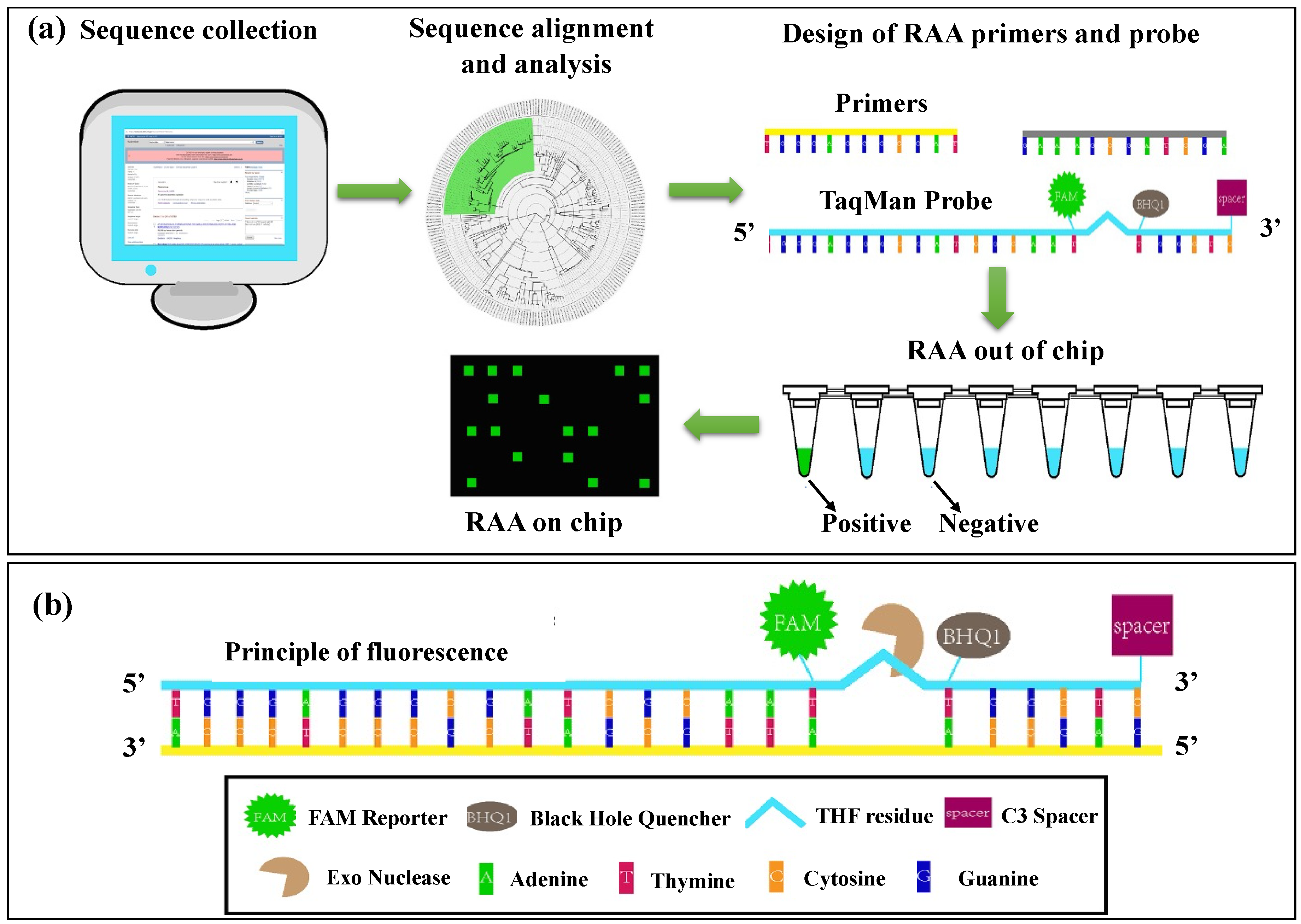 Biosensors 14 00097 g007