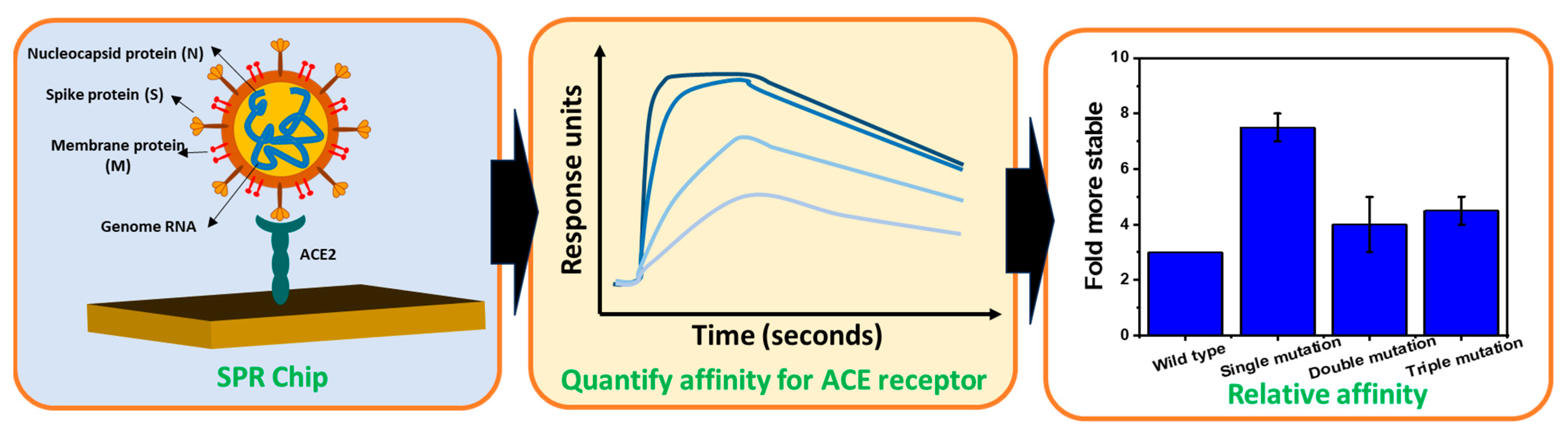Biosensors 14 00099 g001