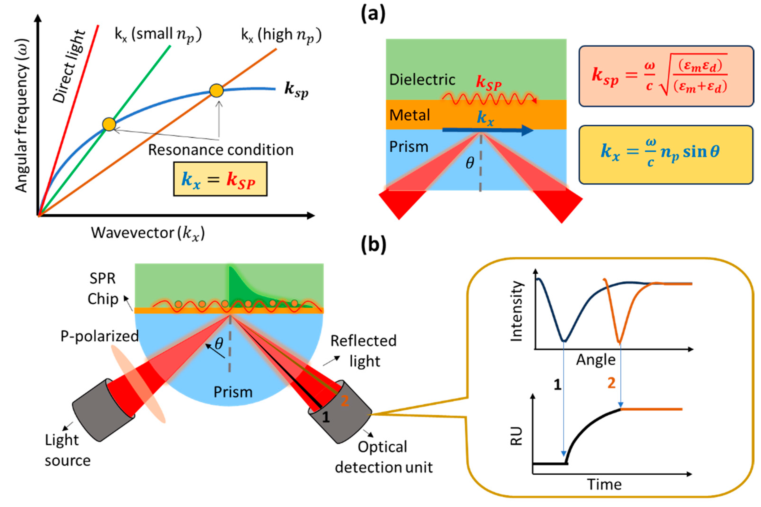 Biosensors 14 00099 g002