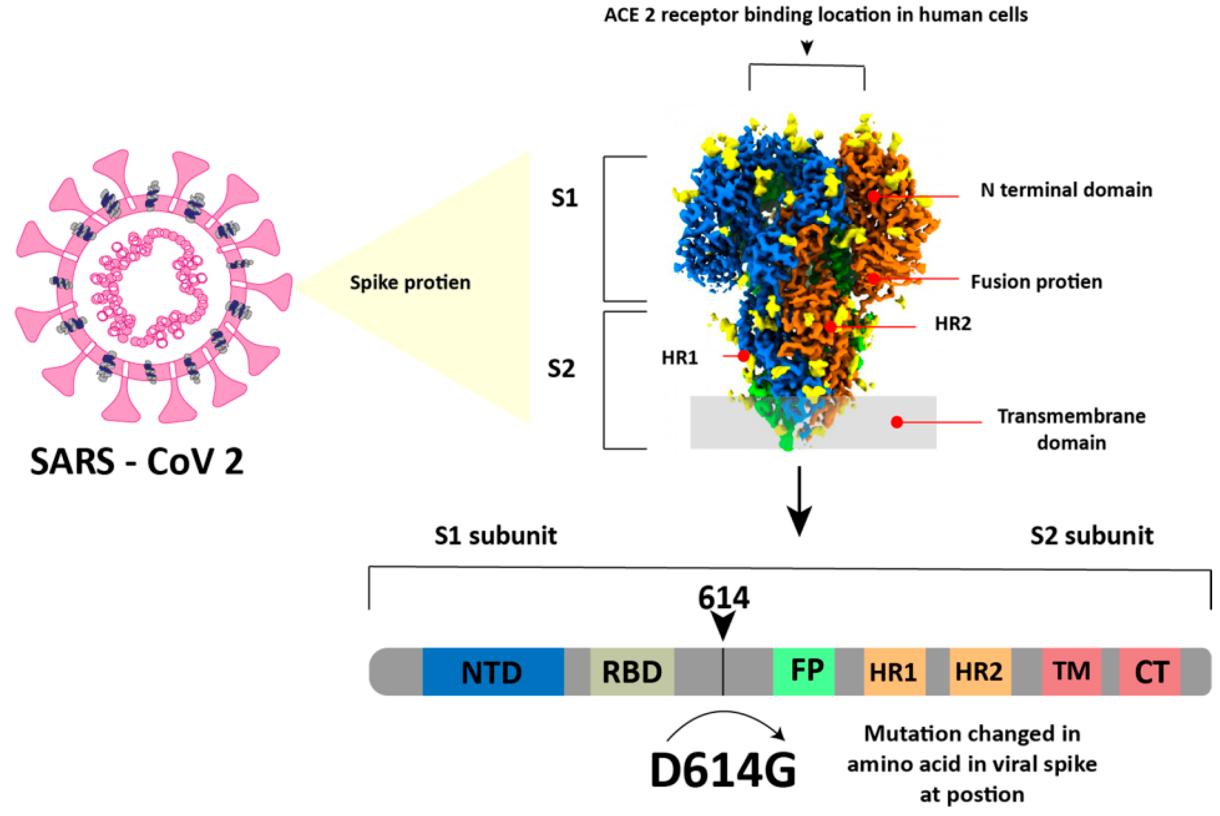 Biosensors 14 00099 g004