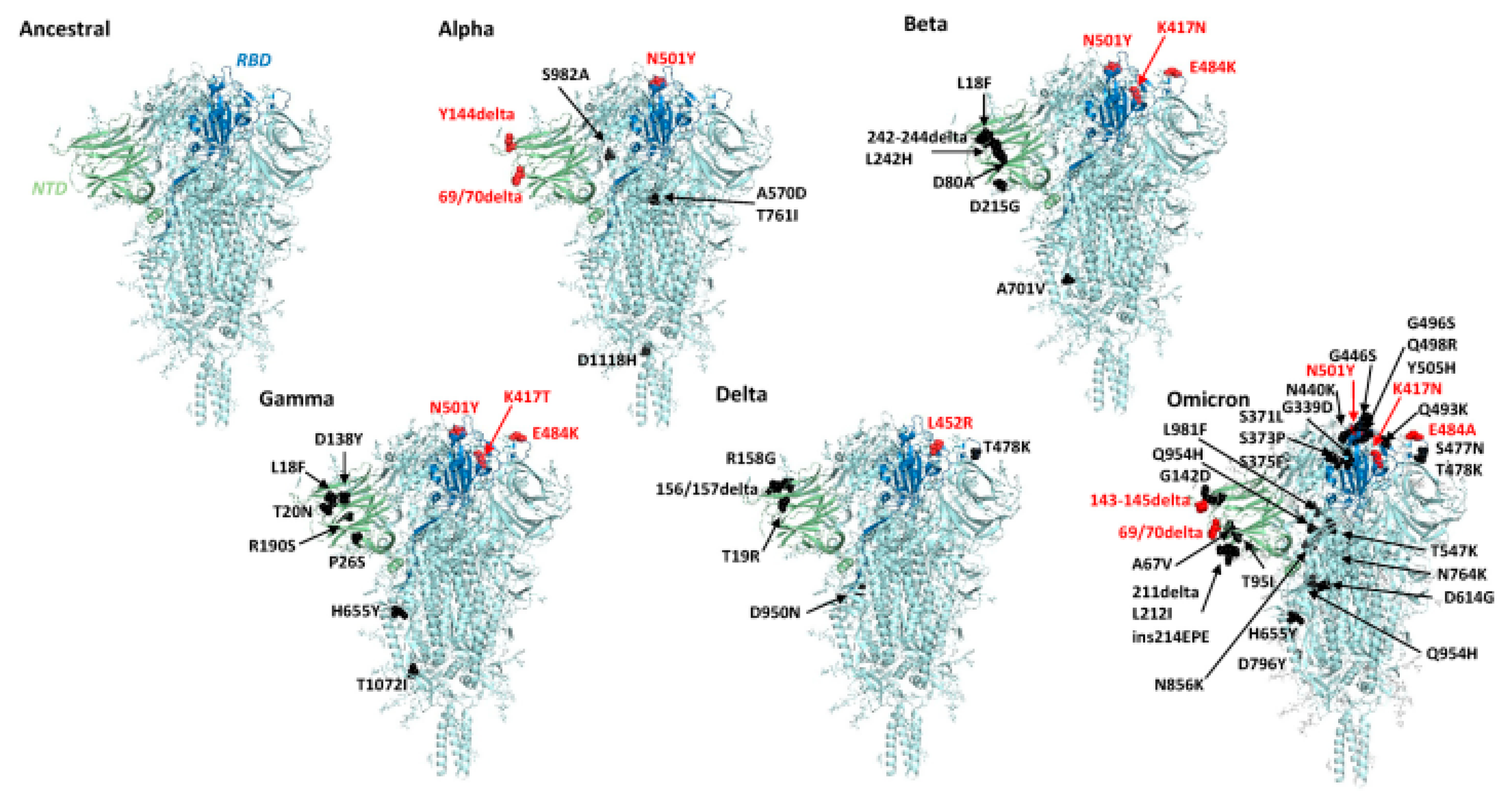 Biosensors 14 00099 g005