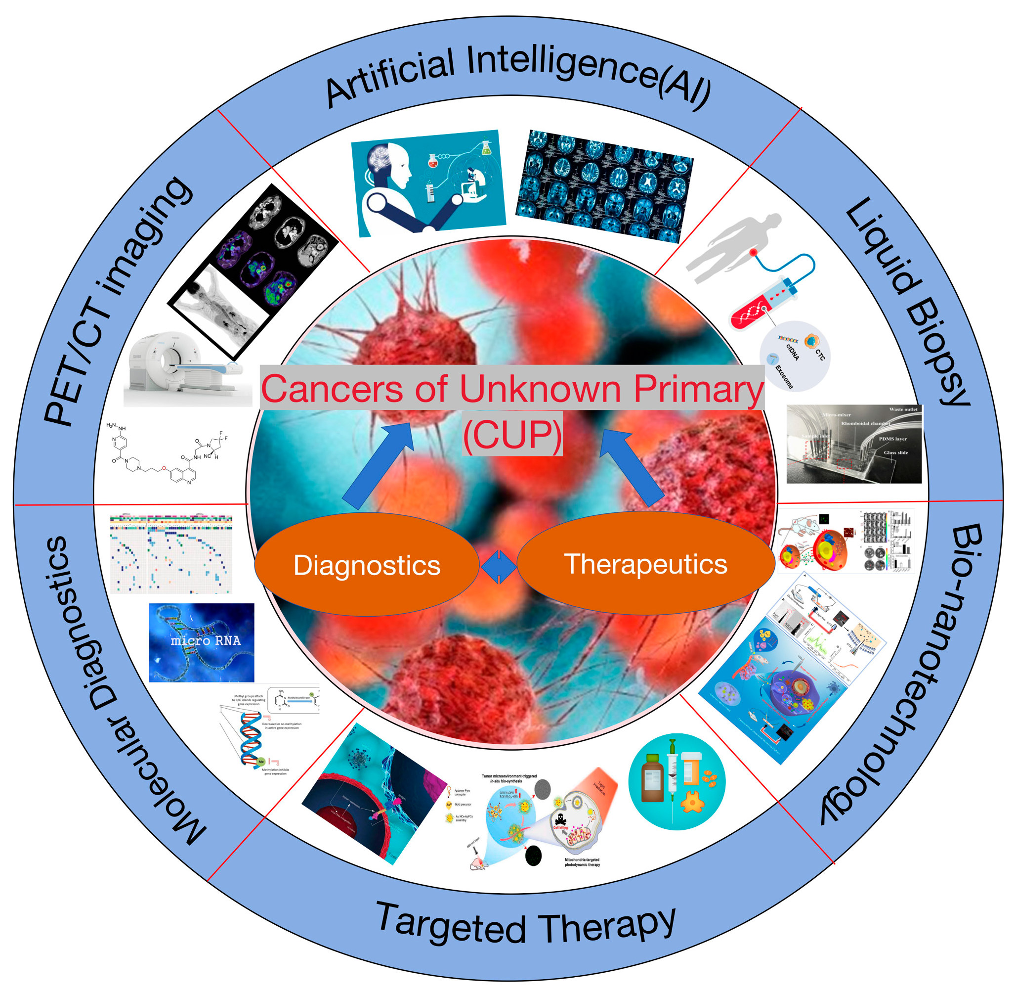 Biosensors 14 00100 g001
