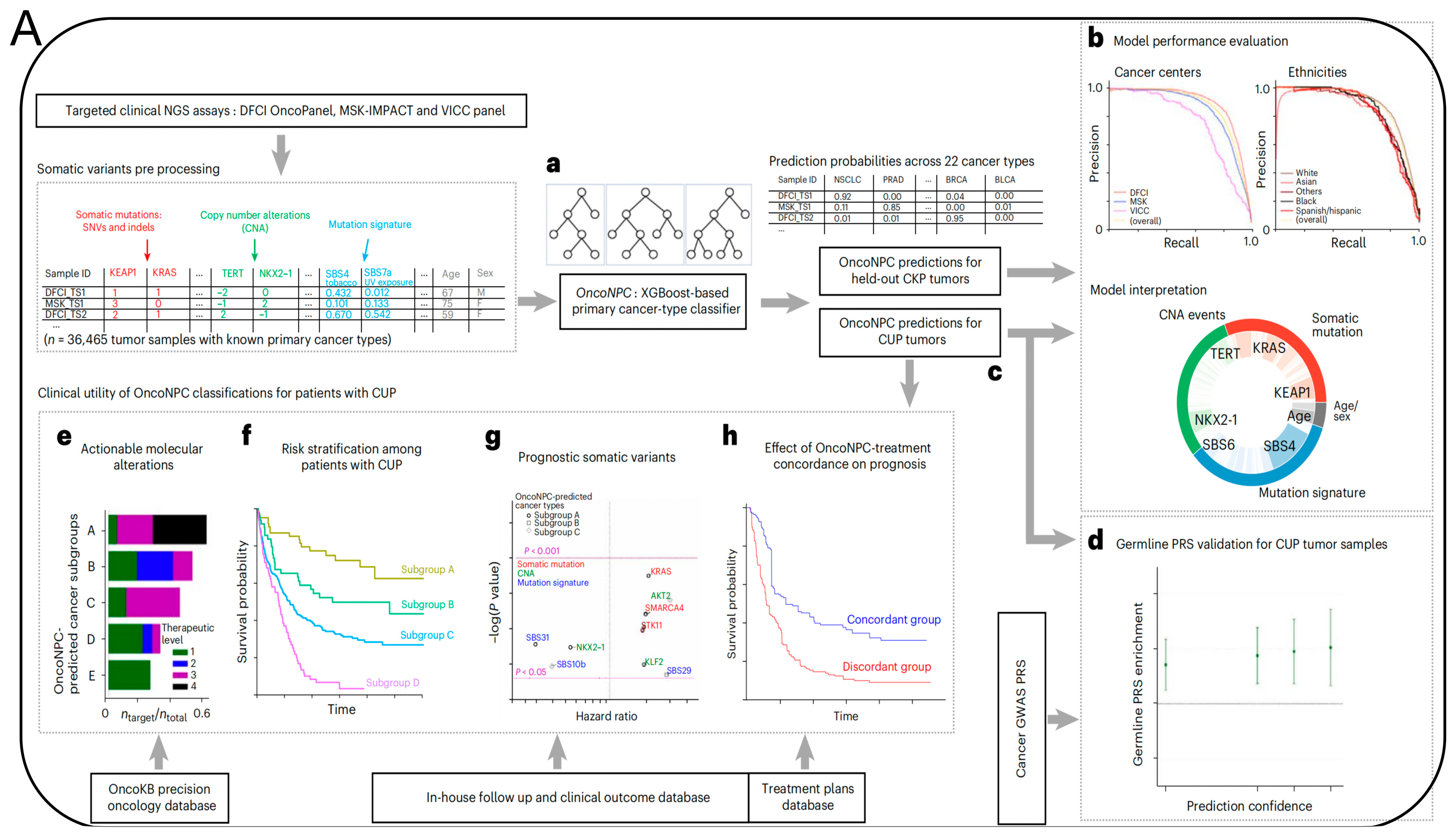 Biosensors 14 00100 g006a