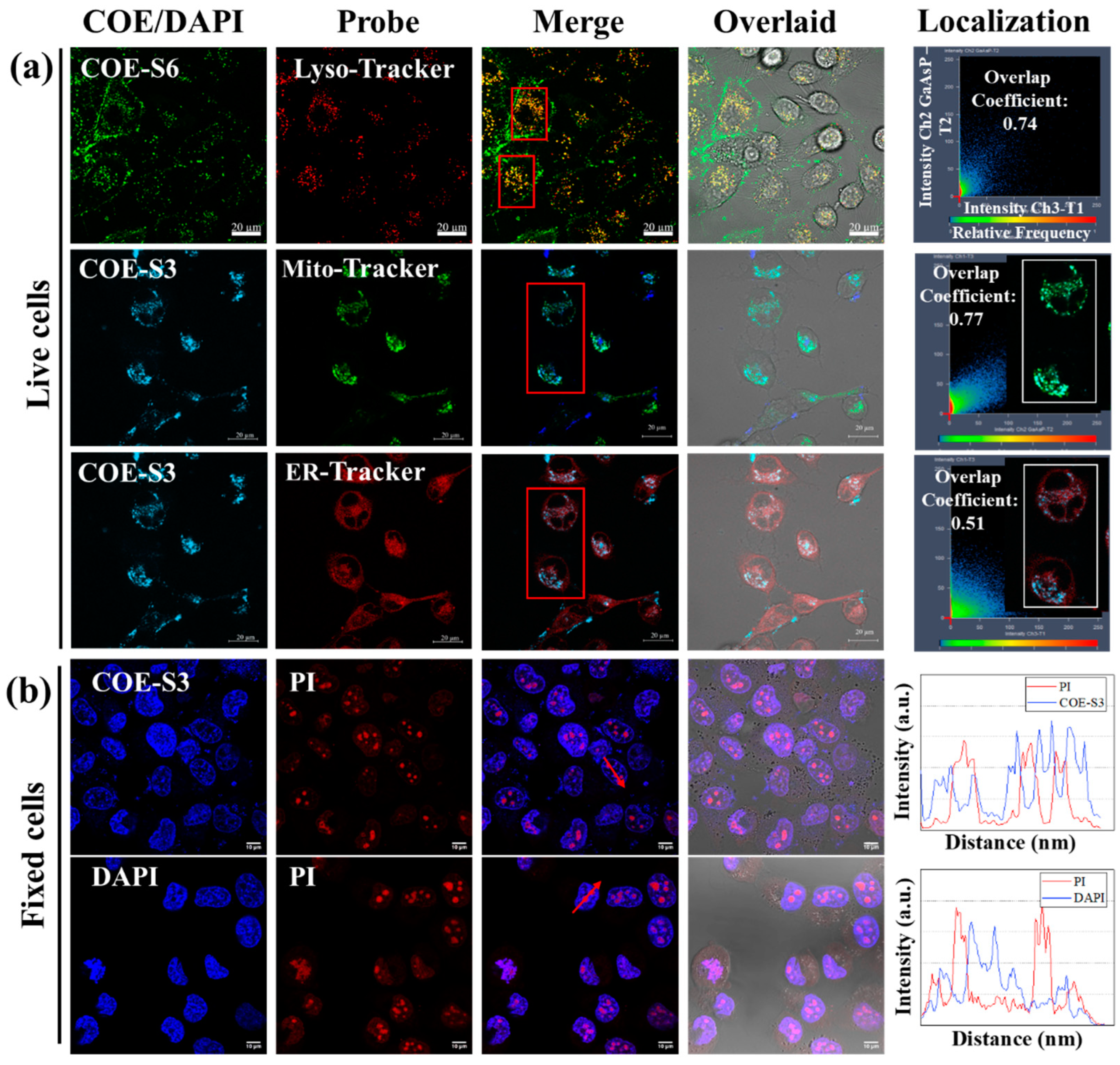 Biosensors 14 00105 g003