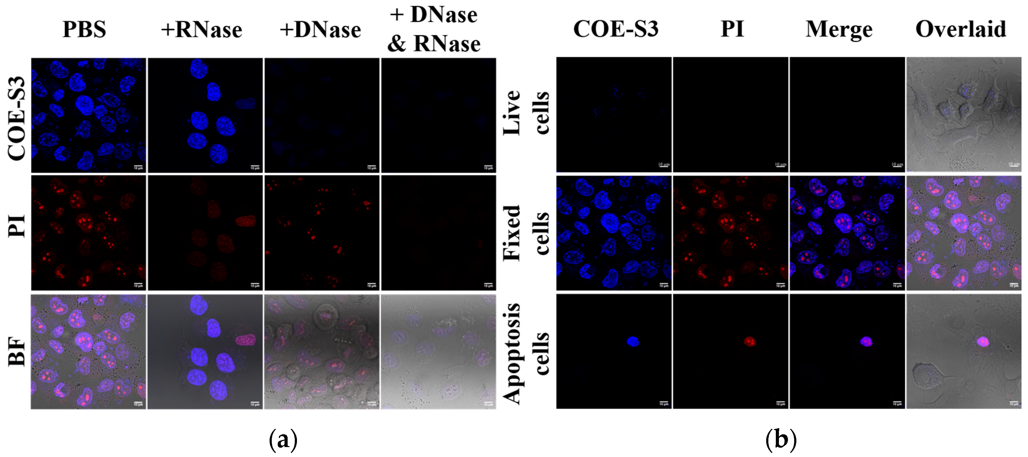 Biosensors 14 00105 g004