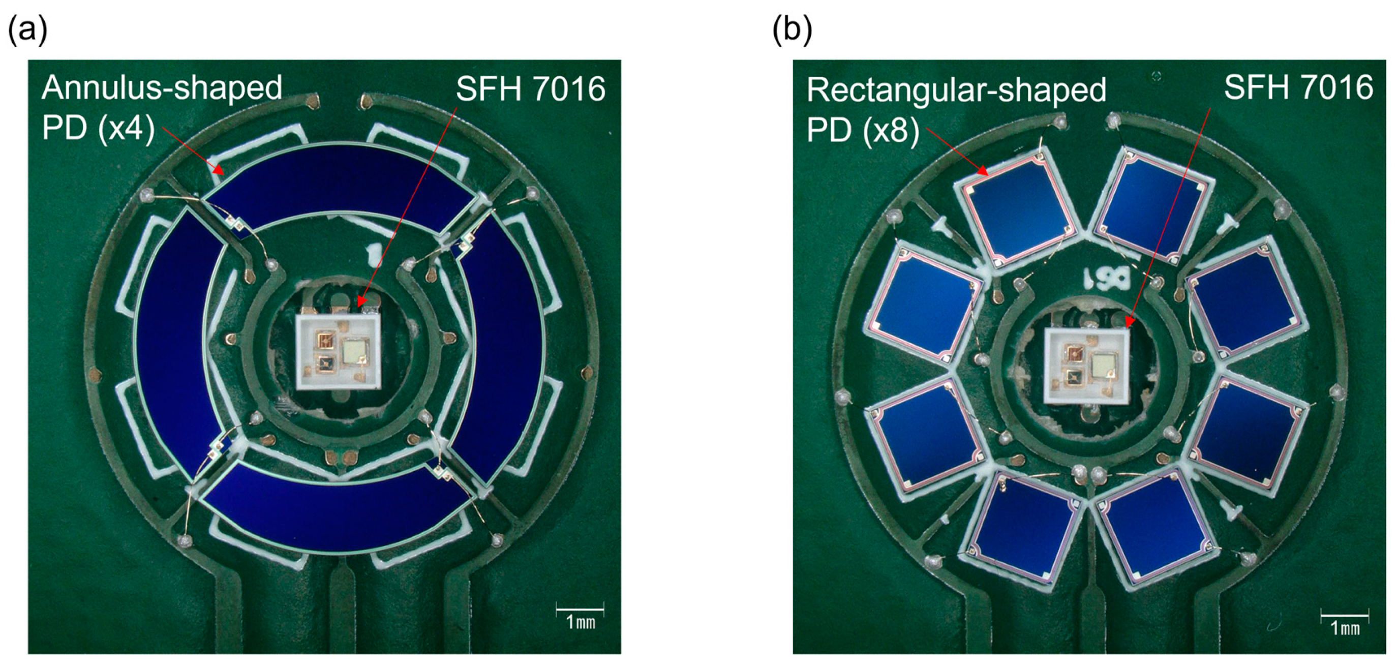 Biosensors 14 00109 g007