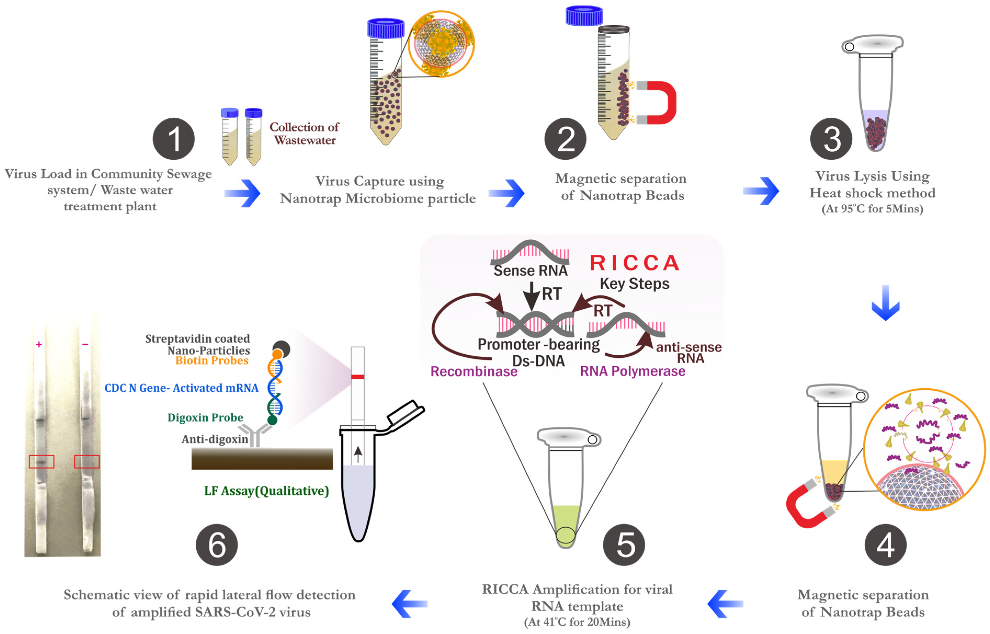 Biosensors 14 00115 g001