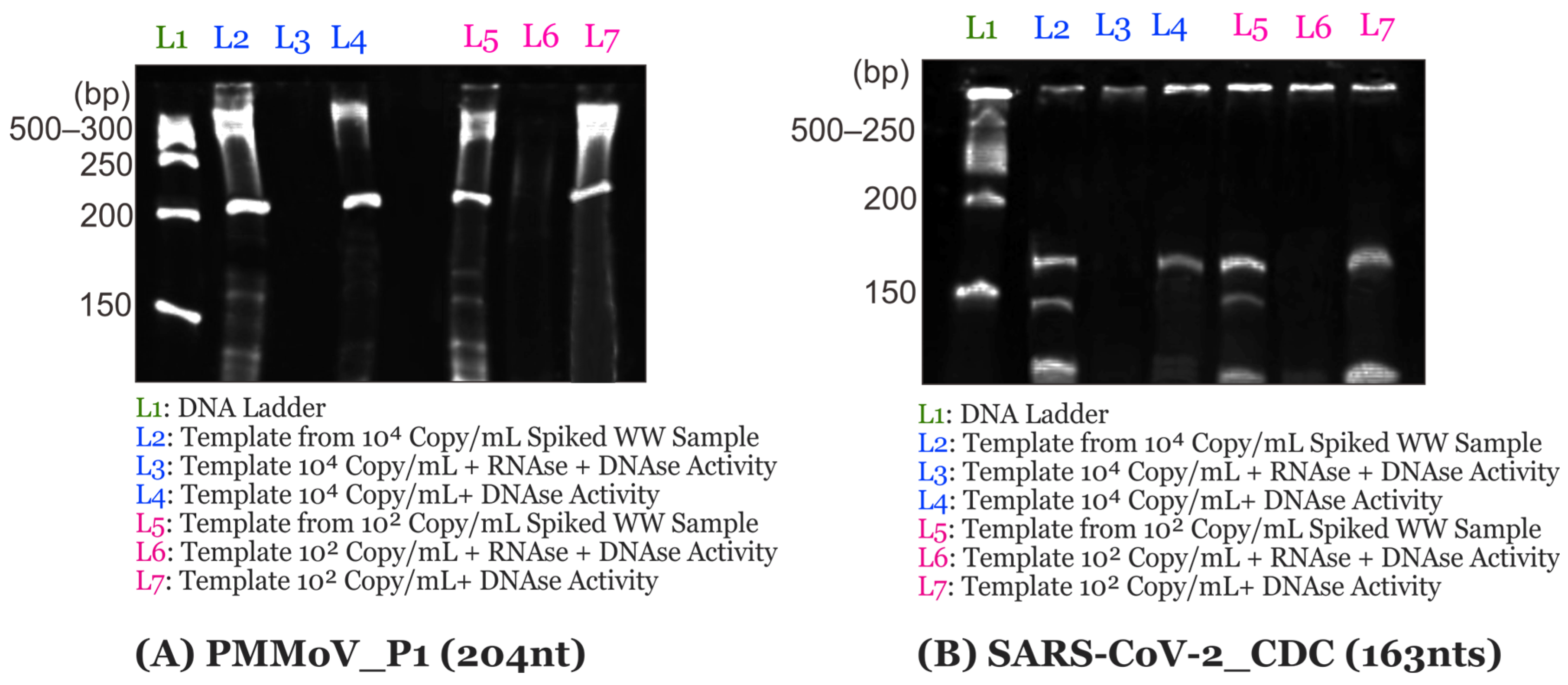 Biosensors 14 00115 g002