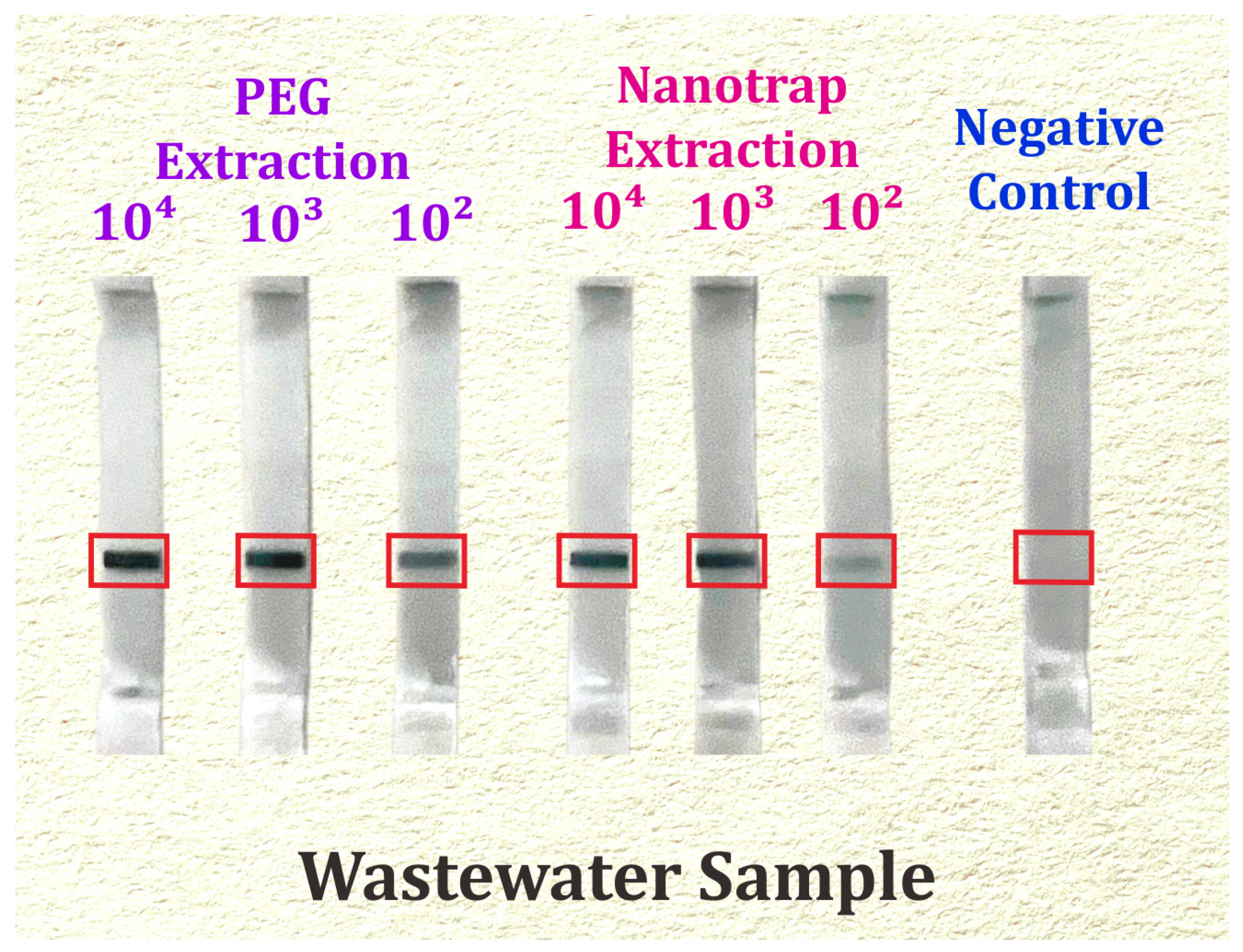 Biosensors 14 00115 g003