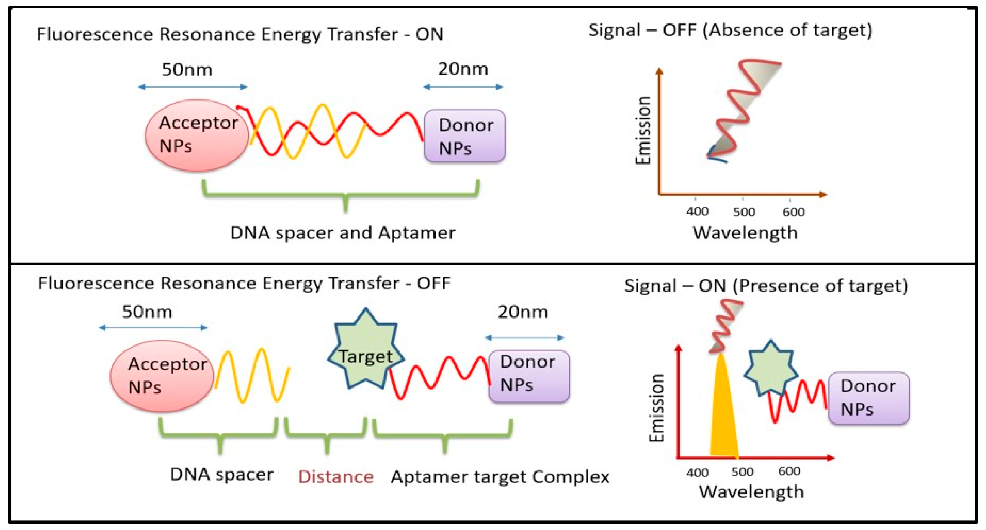 Biosensors 14 00116 g001