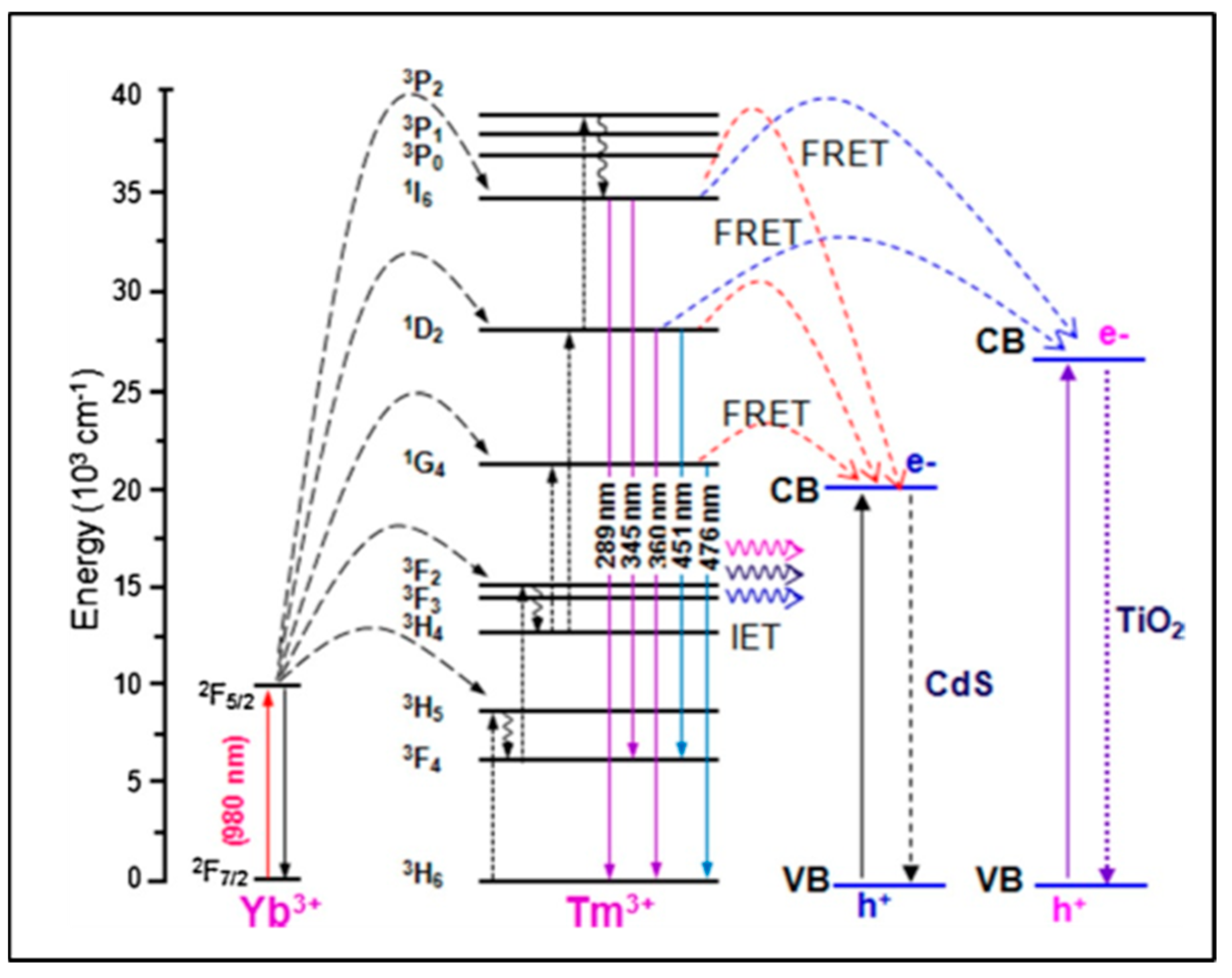 Biosensors 14 00116 g002