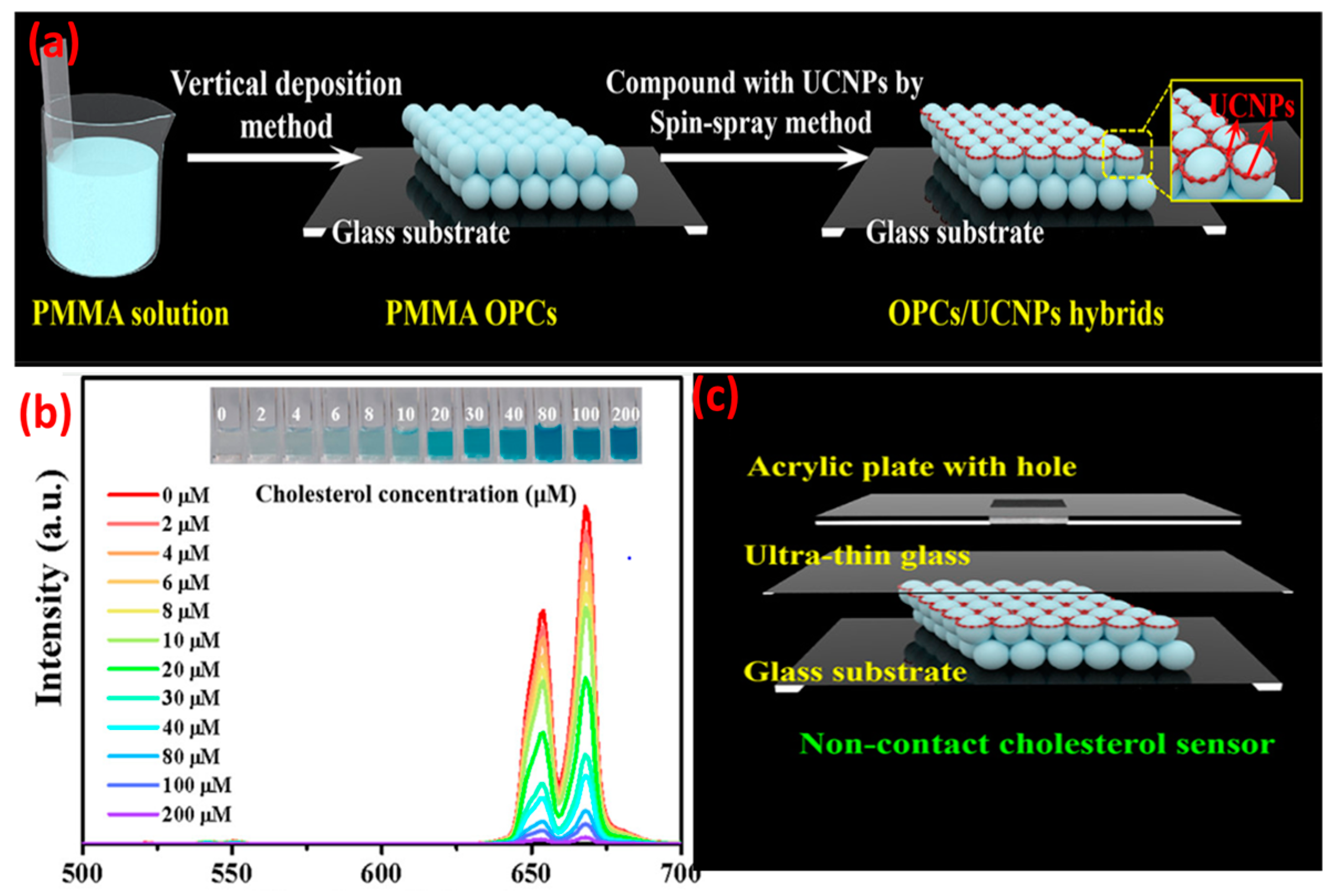 Biosensors 14 00116 g003