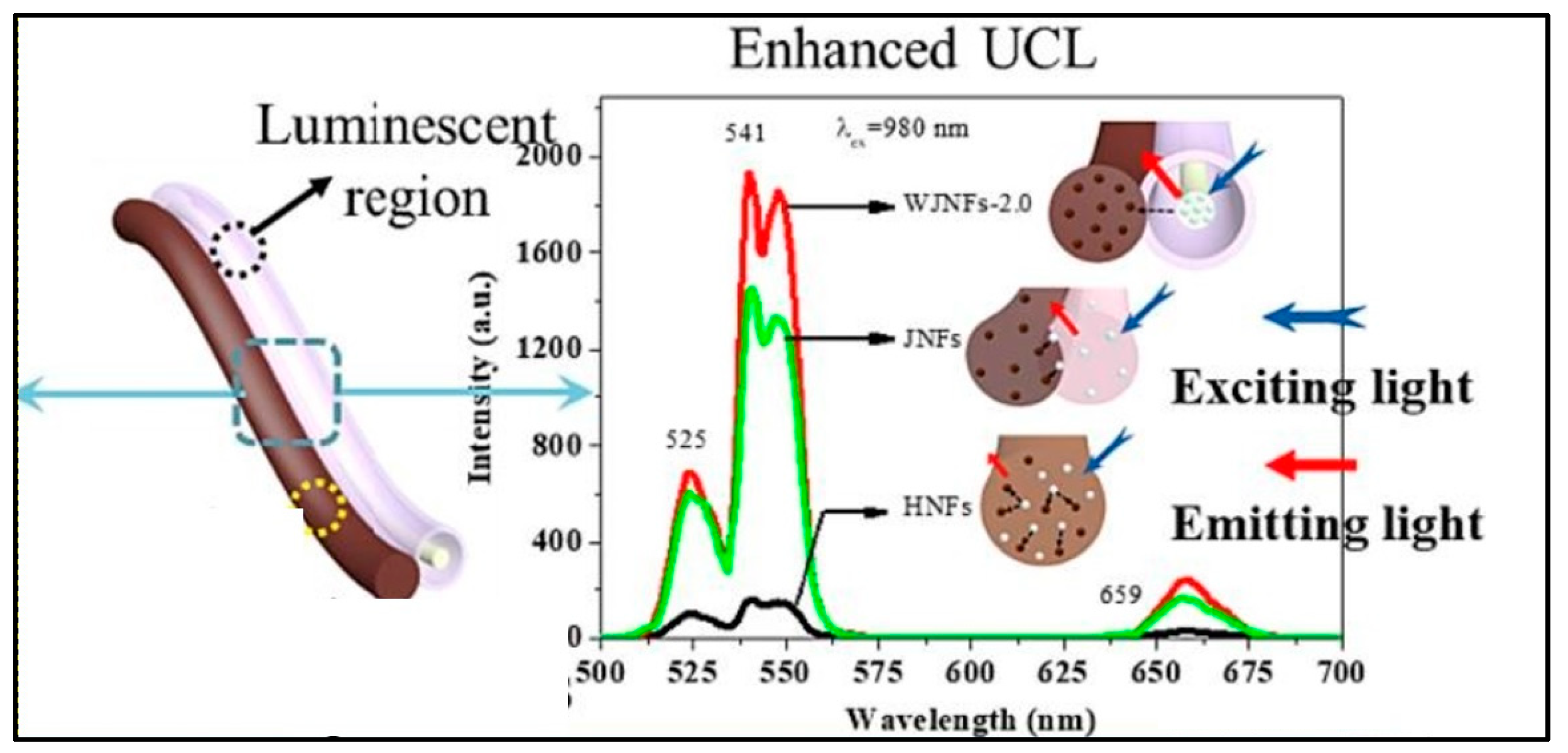 Biosensors 14 00116 g004