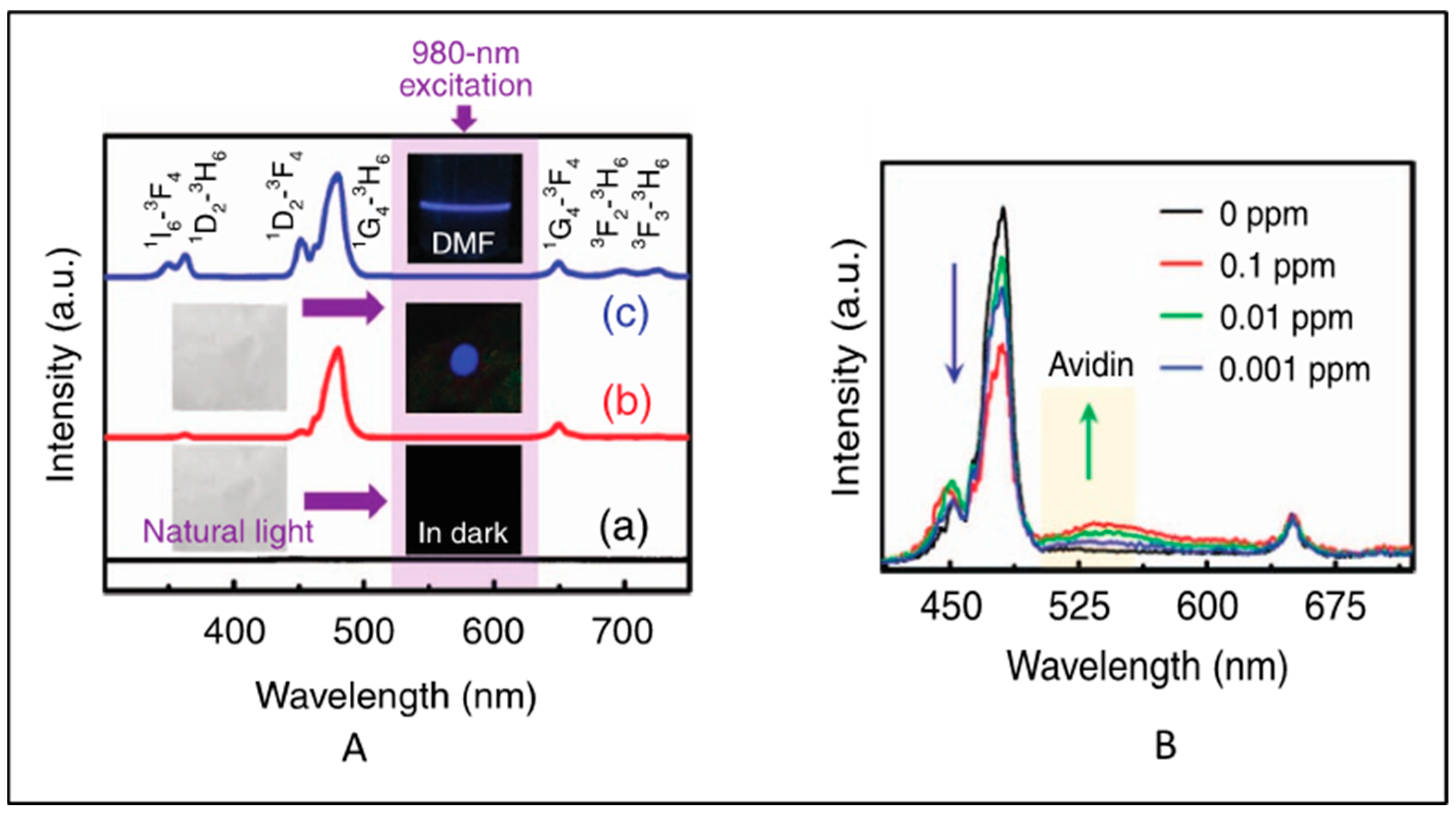 Biosensors 14 00116 g005
