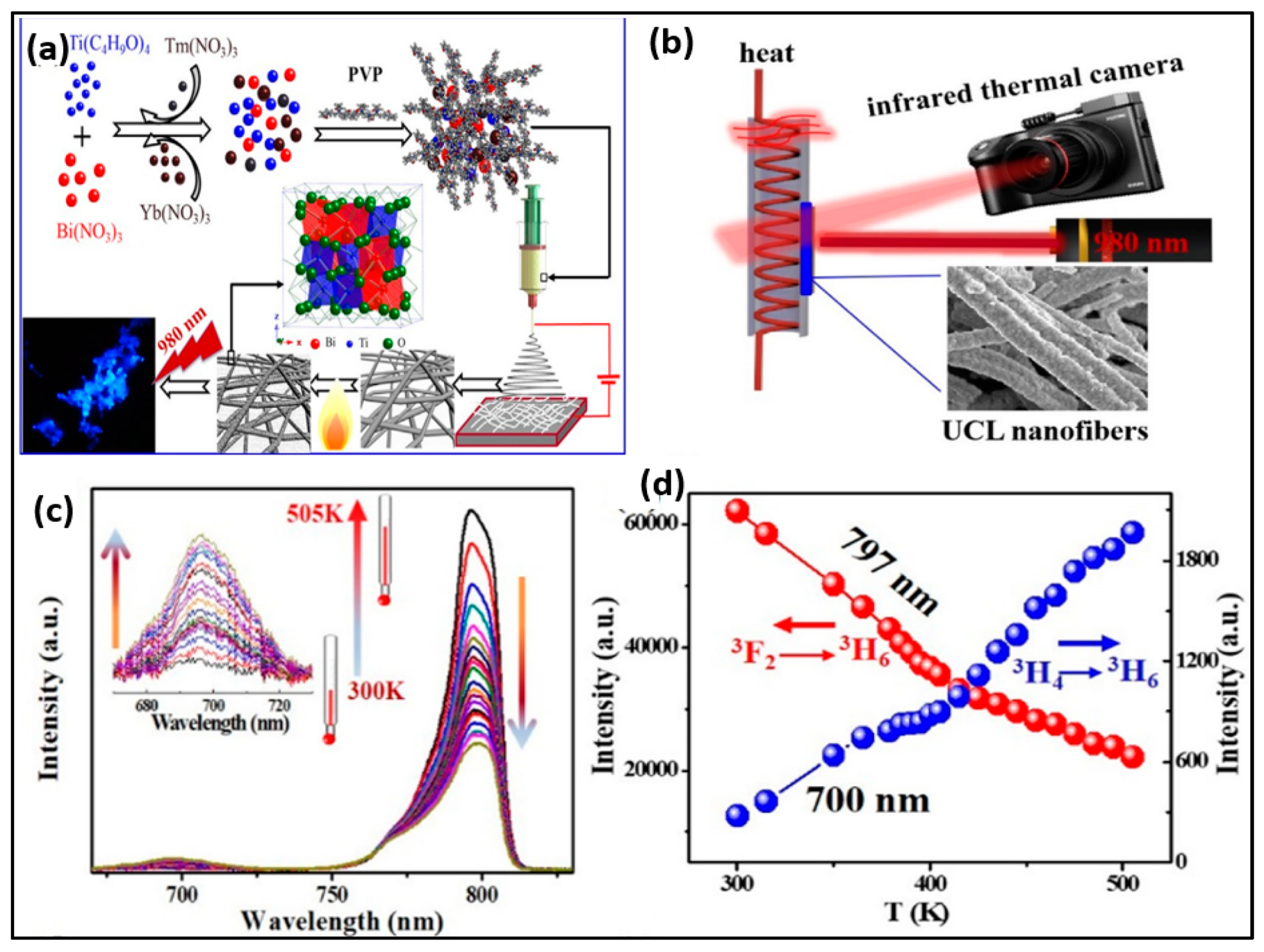Biosensors 14 00116 g006