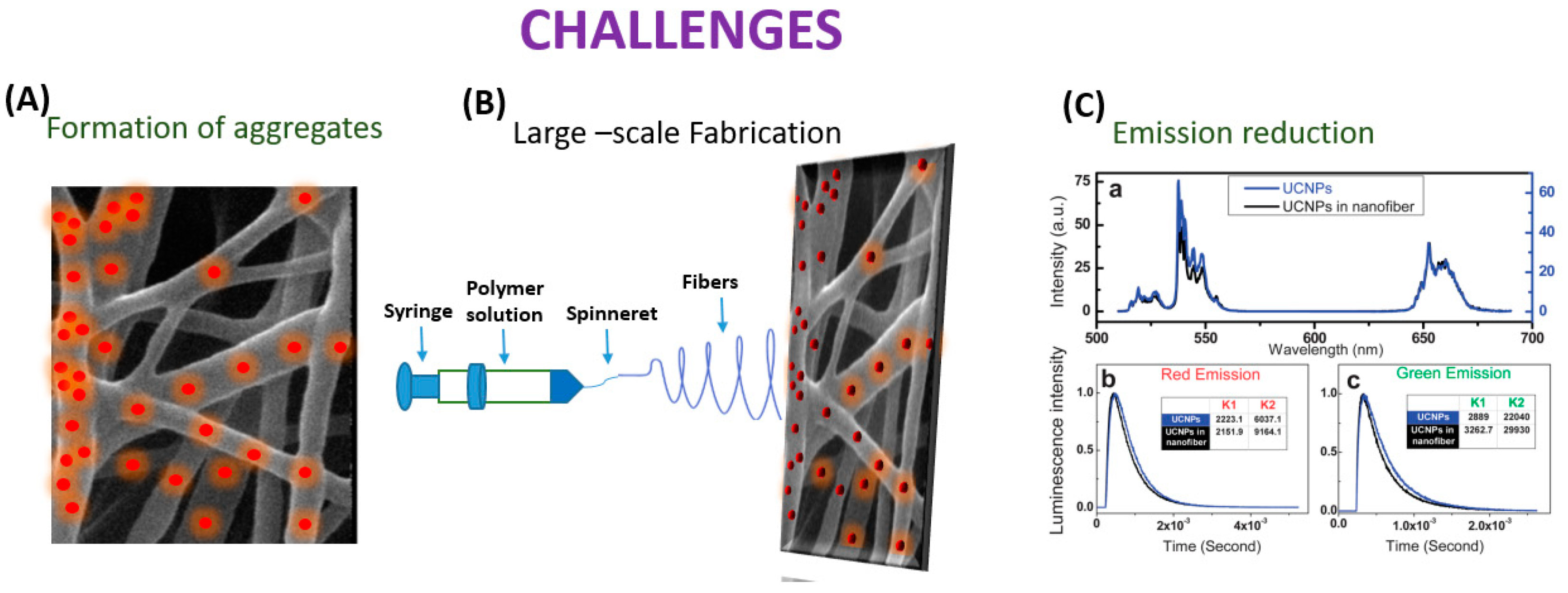 Biosensors 14 00116 g007