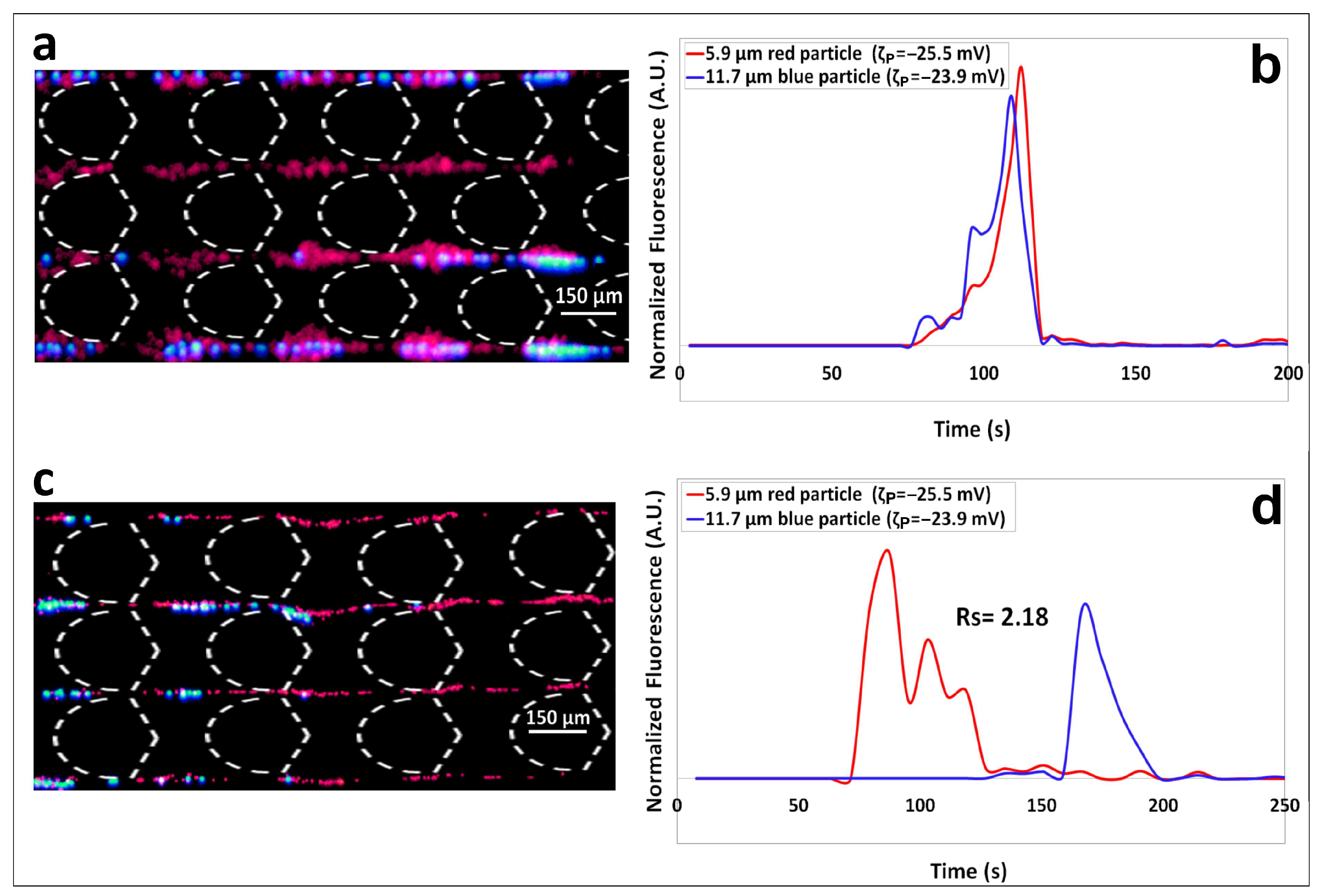 Biosensors 14 00119 g002