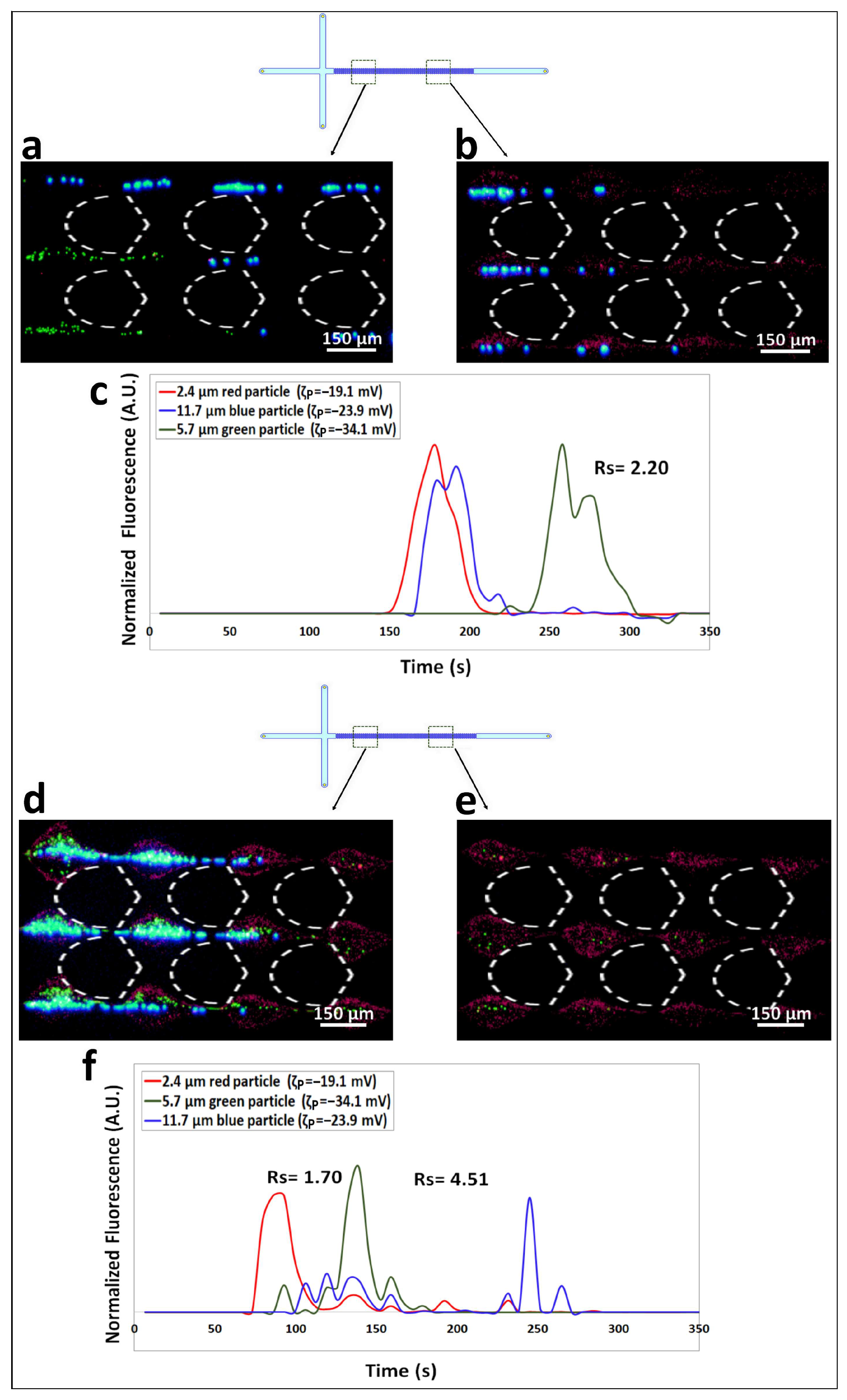 Biosensors 14 00119 g004