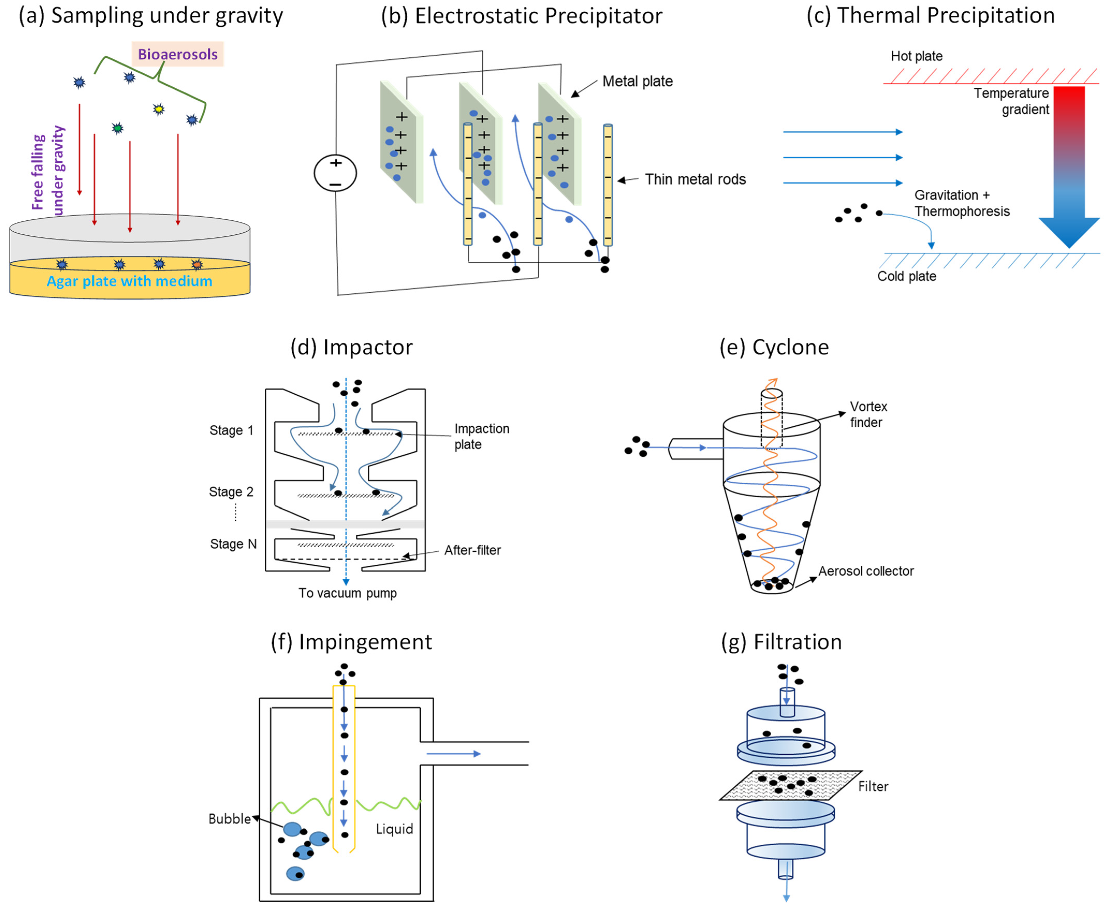 Biosensors 14 00122 g001 Biosensors 14 00122 g001