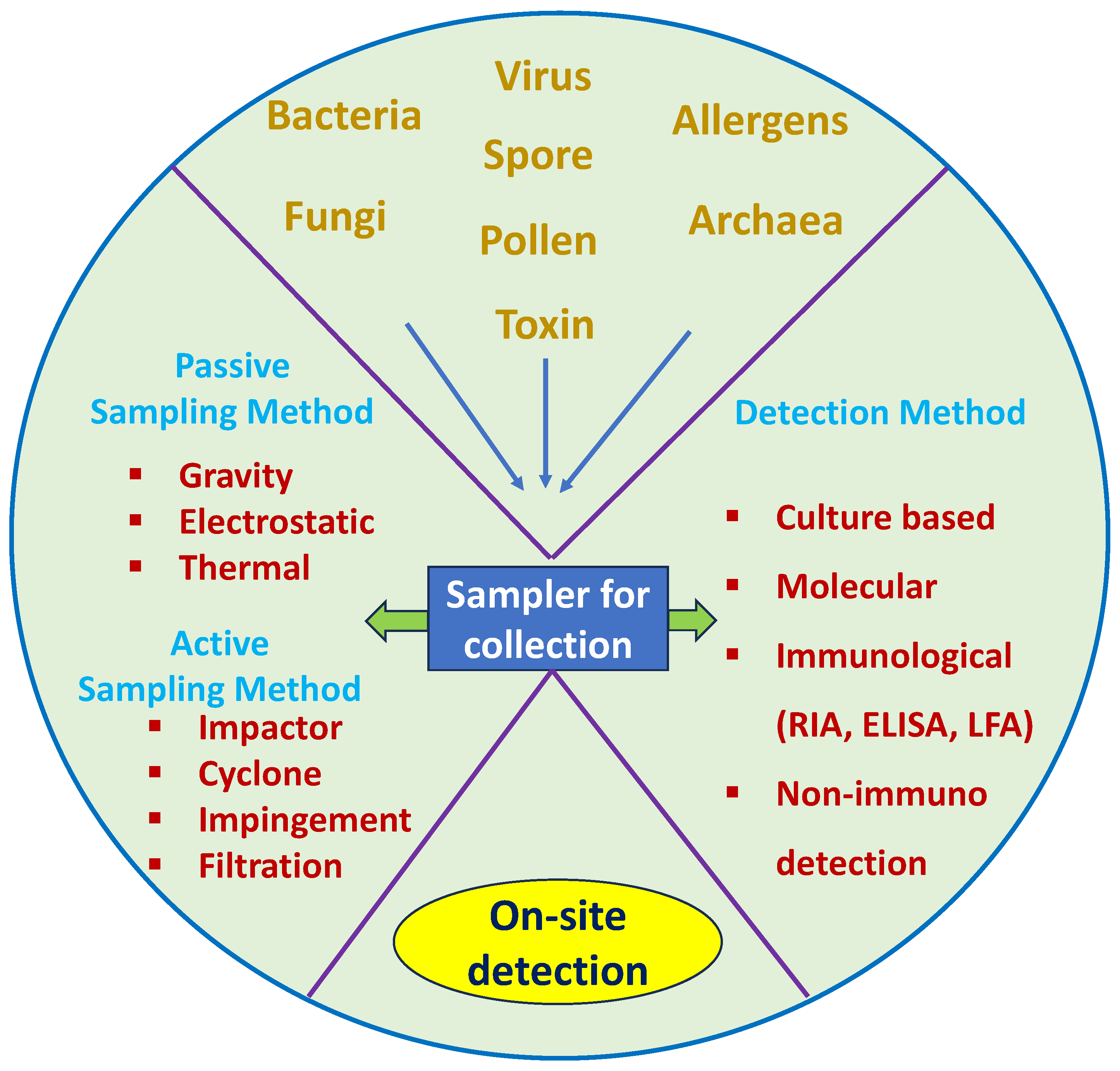 Biosensors 14 00122 sch001 Biosensors 14 00122 sch001