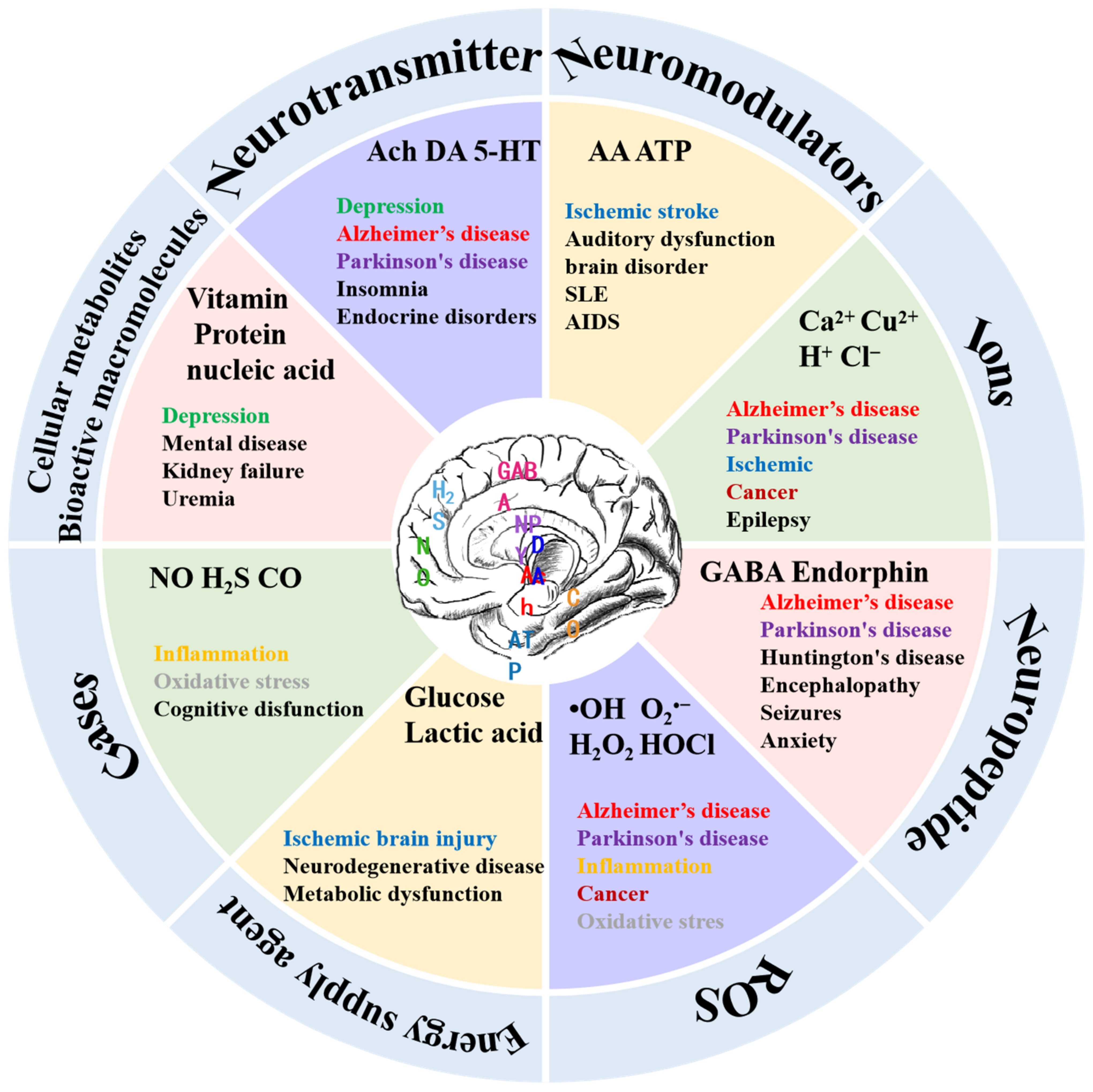 Biosensors 14 00125 g001