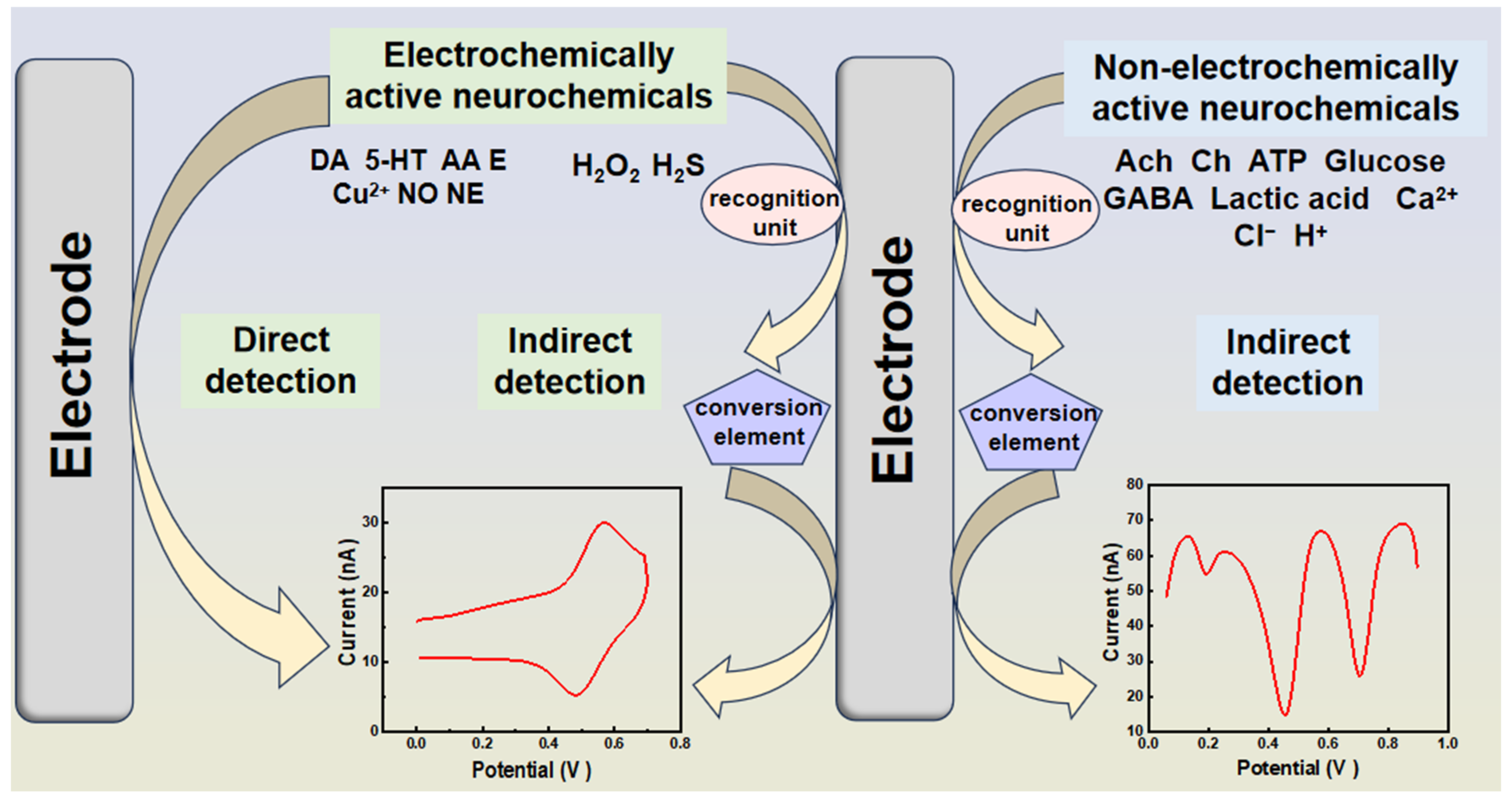 Biosensors 14 00125 g002