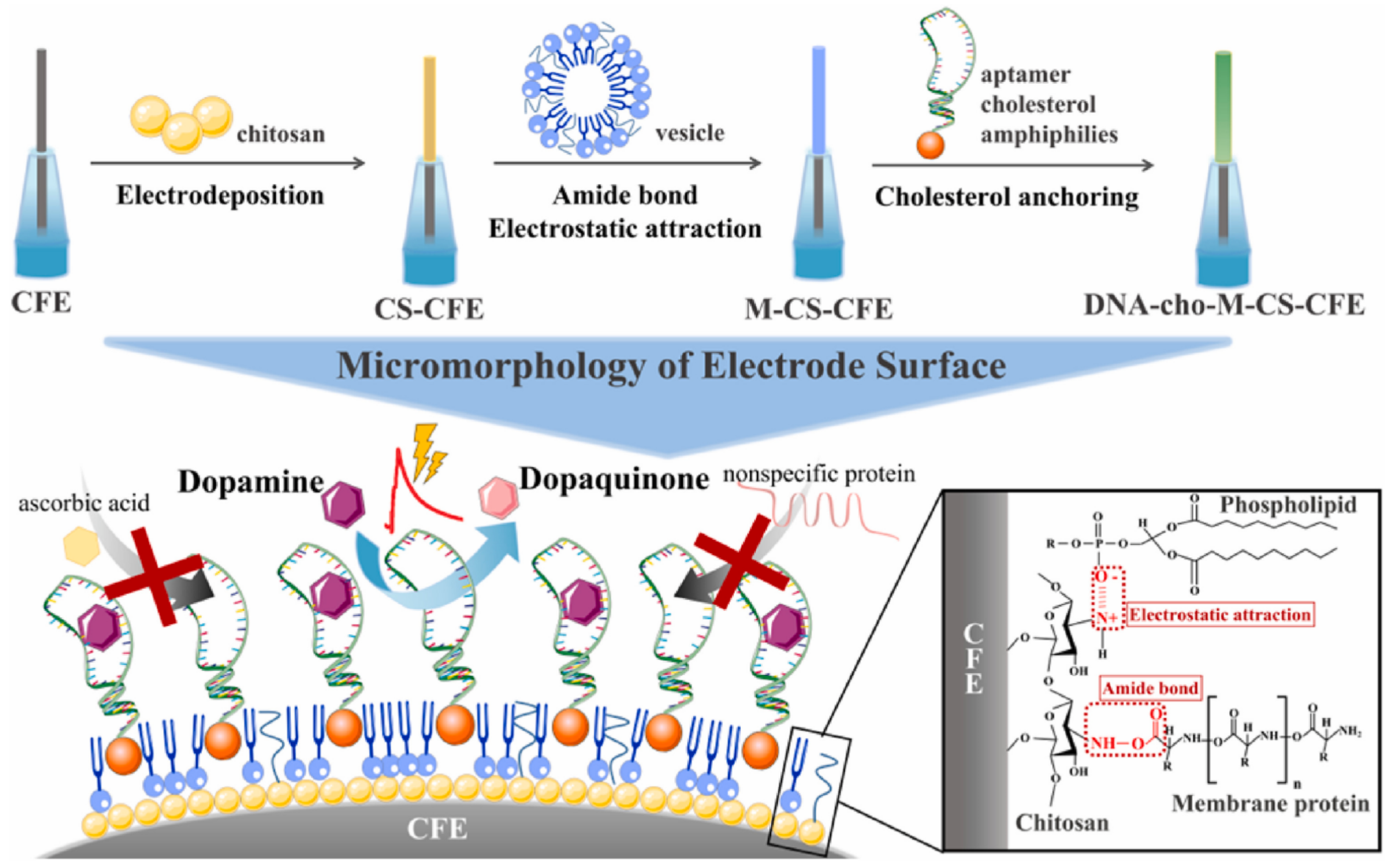 Biosensors 14 00125 g009