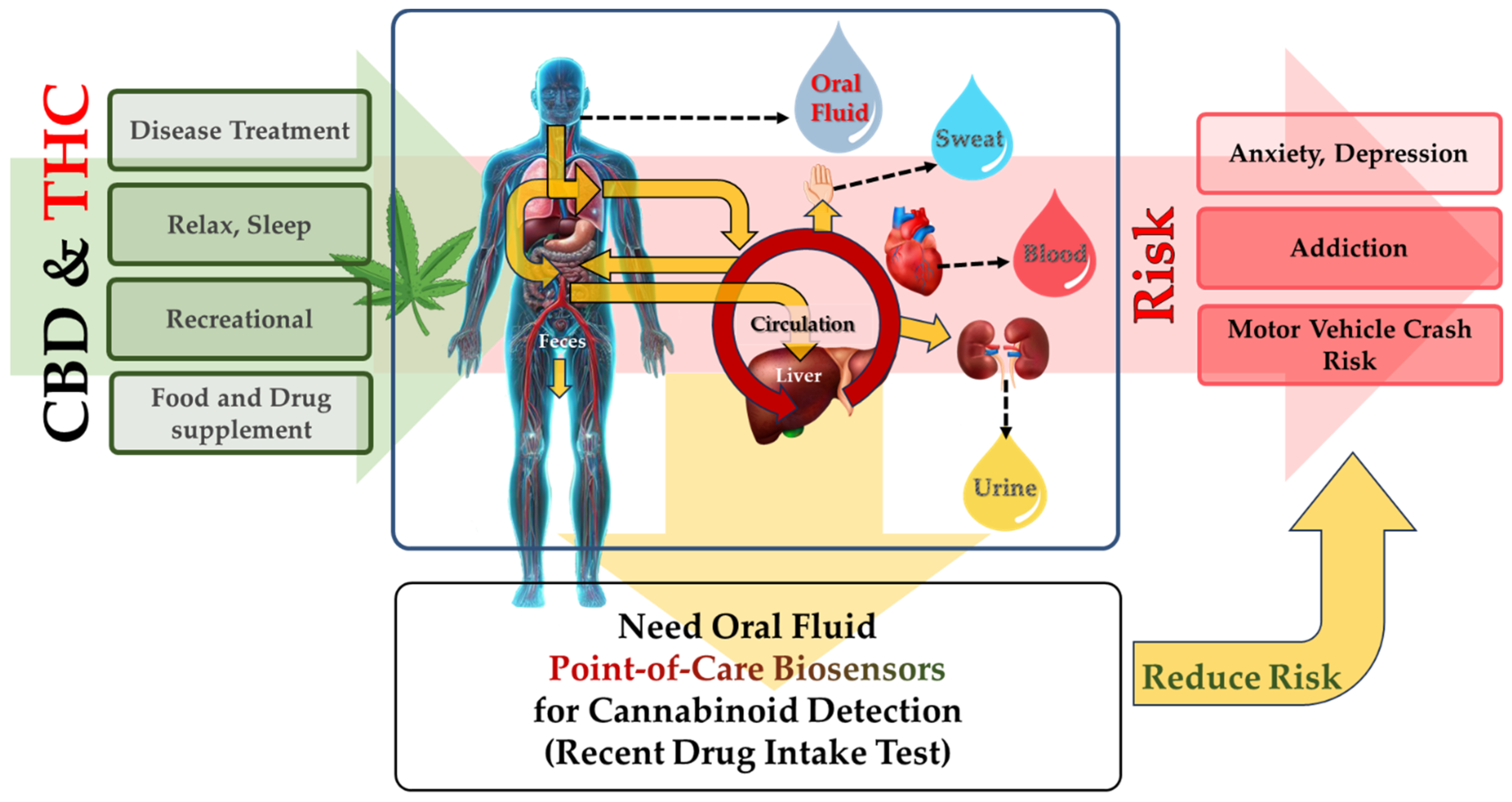 Biosensors 14 00126 g001 Biosensors 14 00126 g001