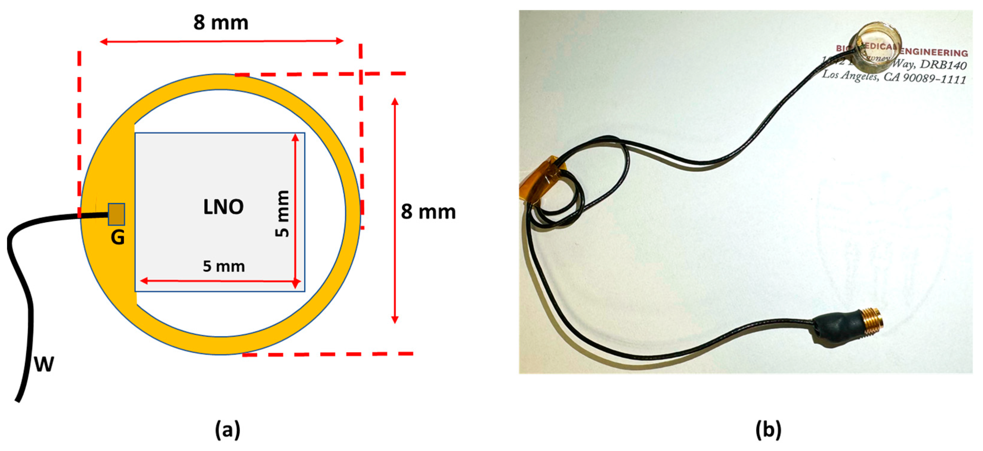 Biosensors 14 00127 g001 Biosensors 14 00127 g001