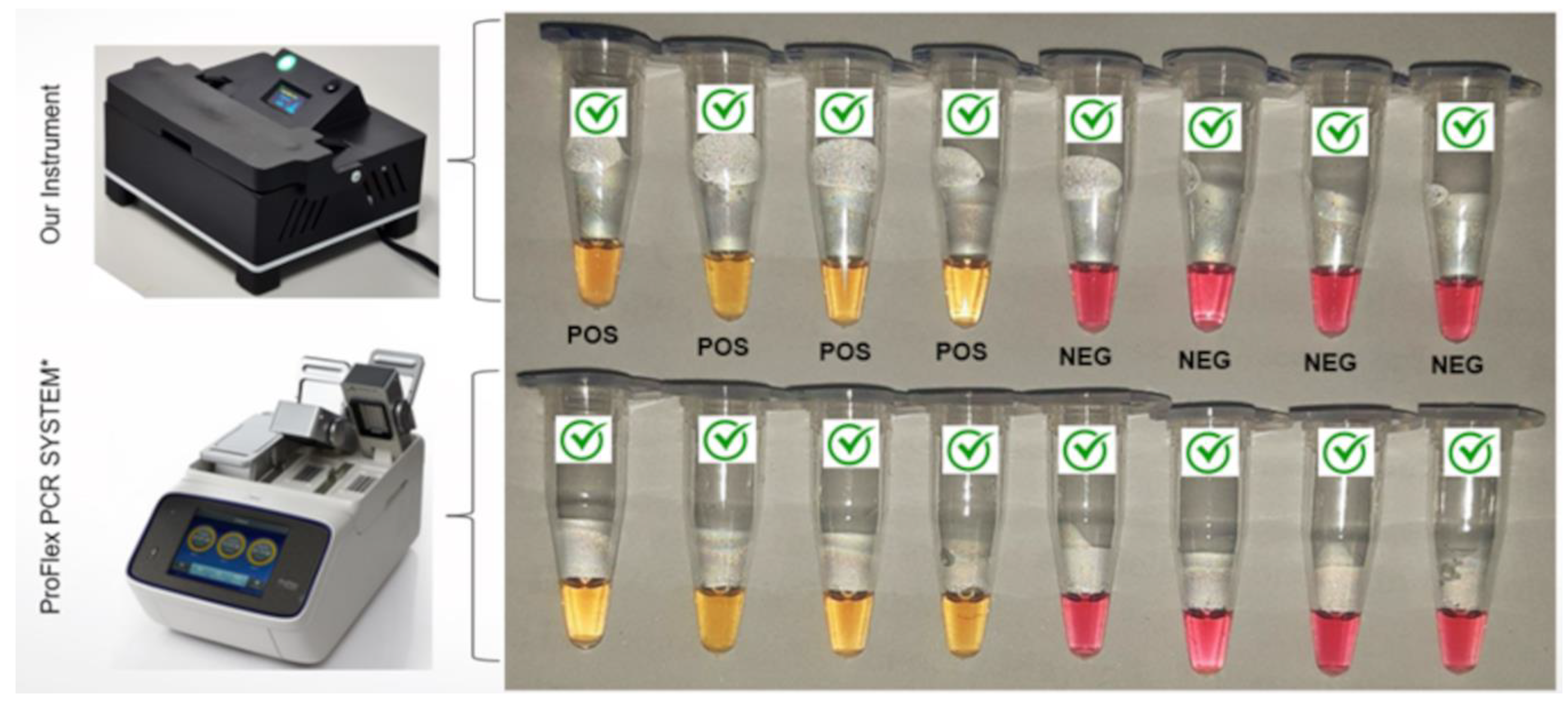 Biosensors 14 00128 g007