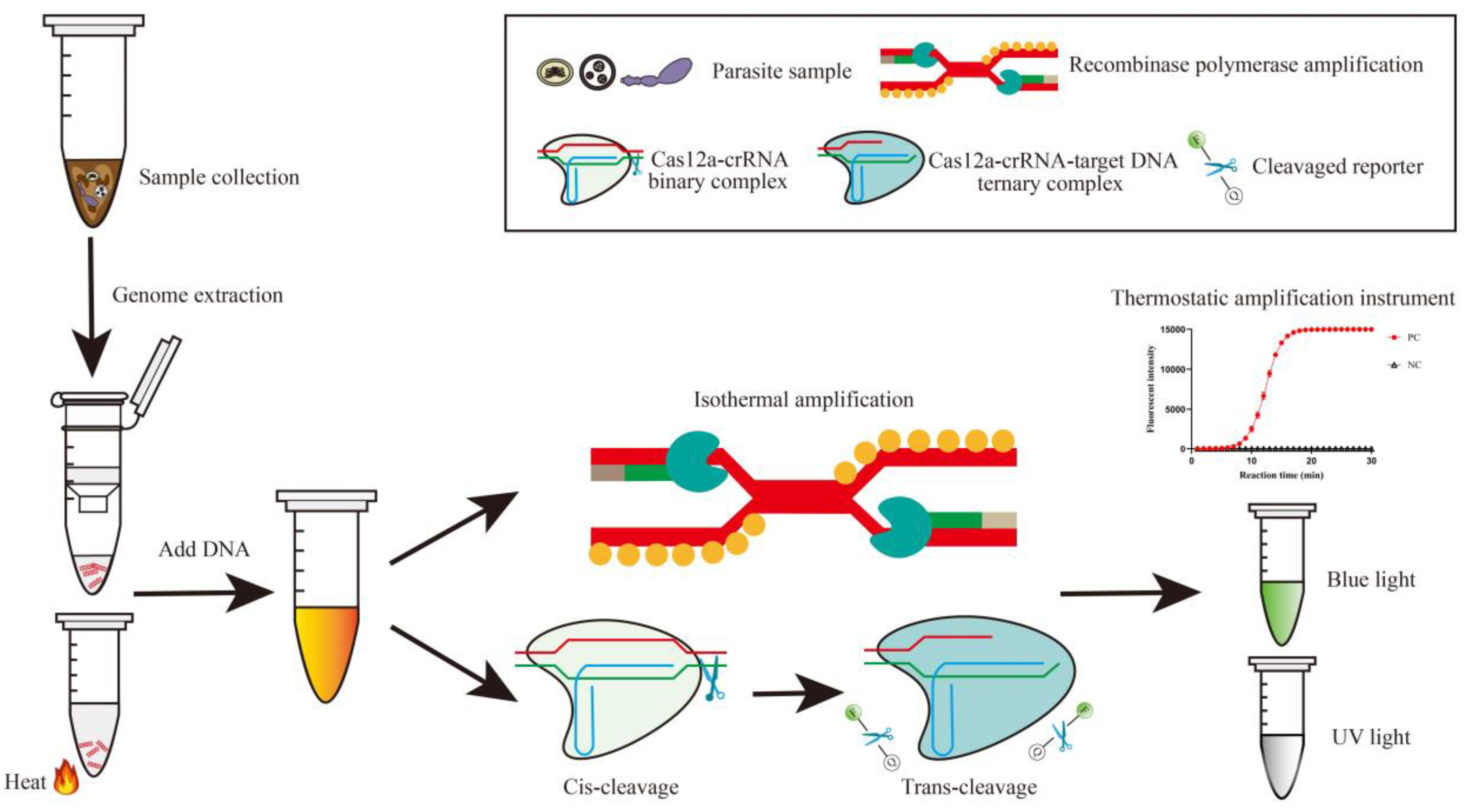 Biosensors 14 00145 g001 Biosensors 14 00145 g001