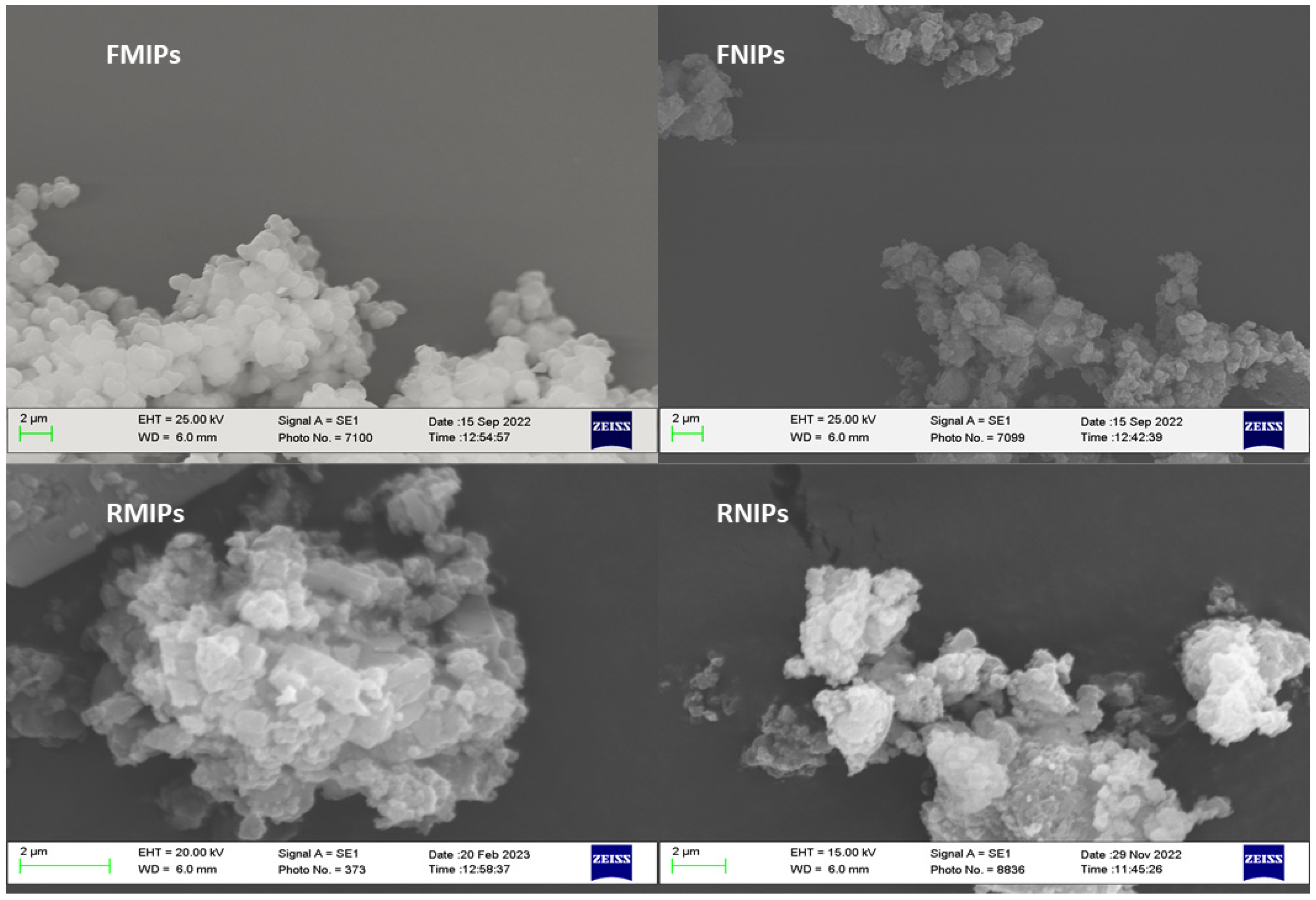 Biosensors 14 00151 g002