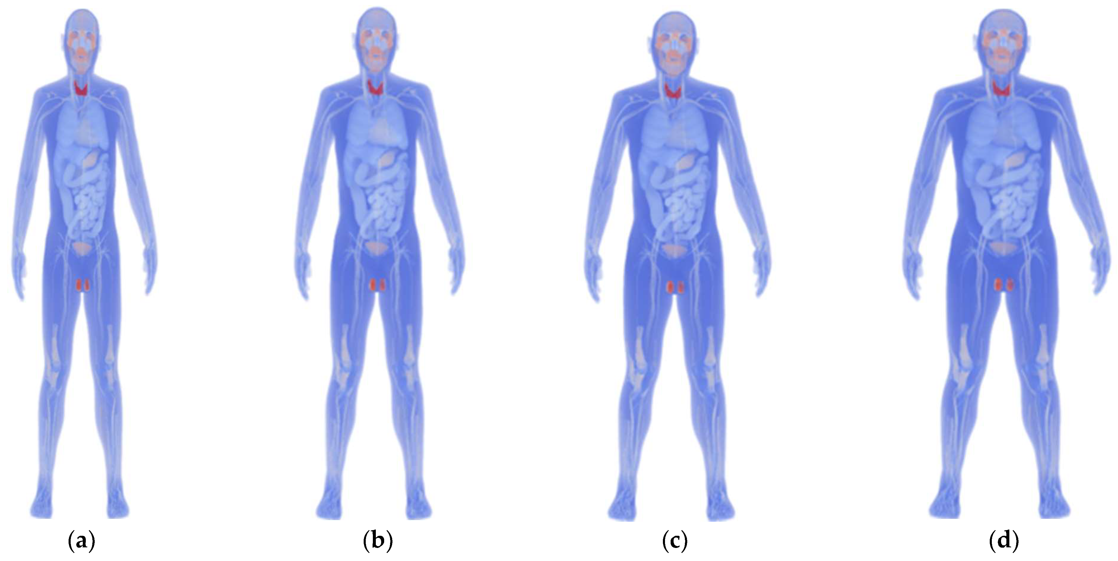 Biosensors 14 00153 g001