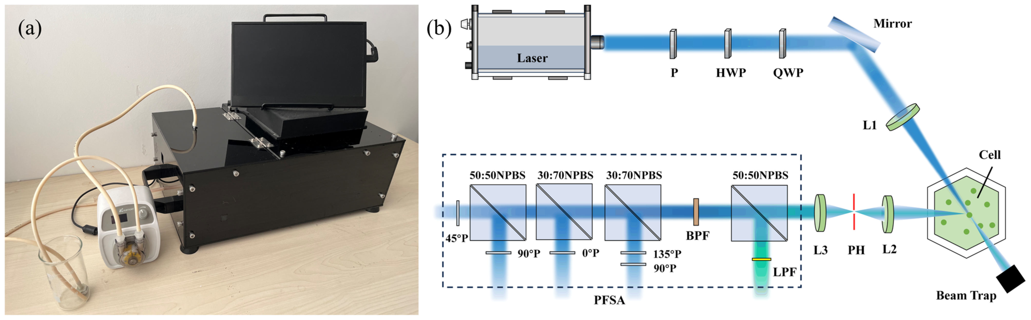Biosensors 14 00160 g001