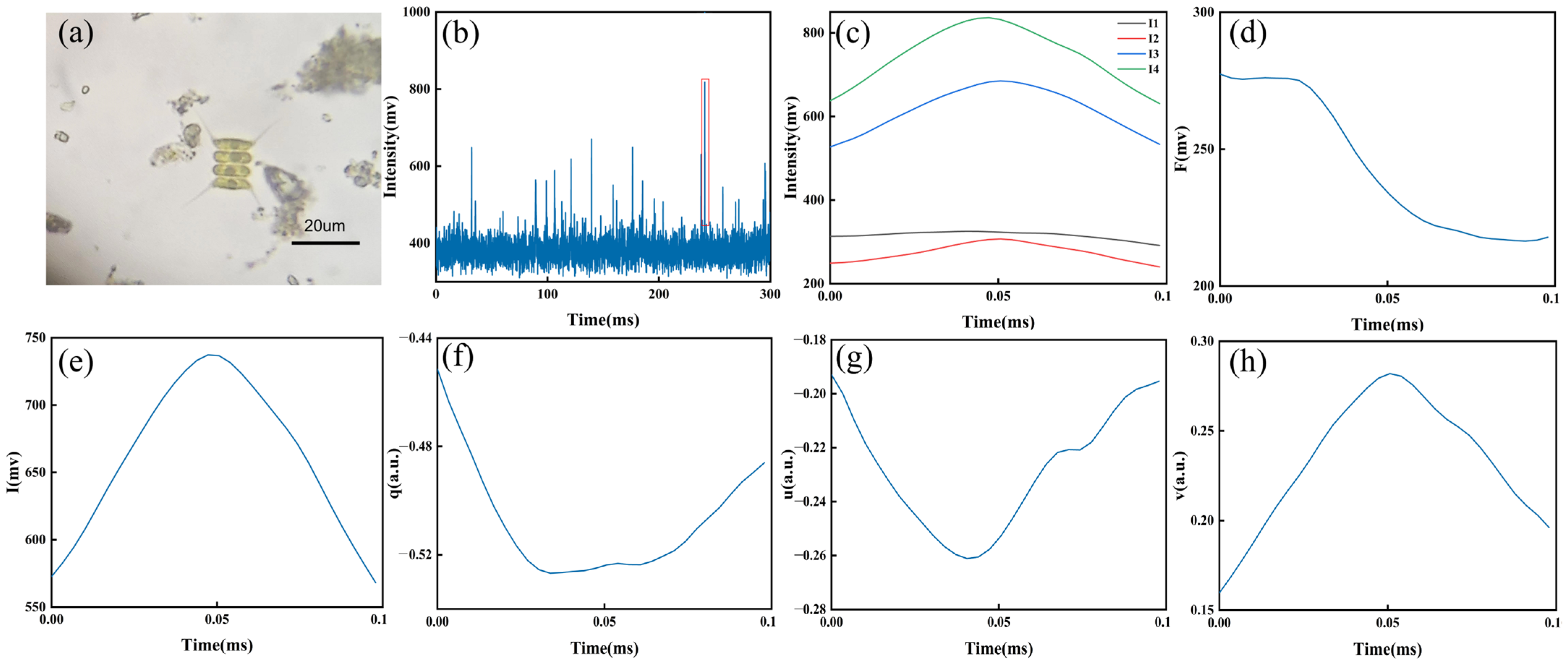 Biosensors 14 00160 g002