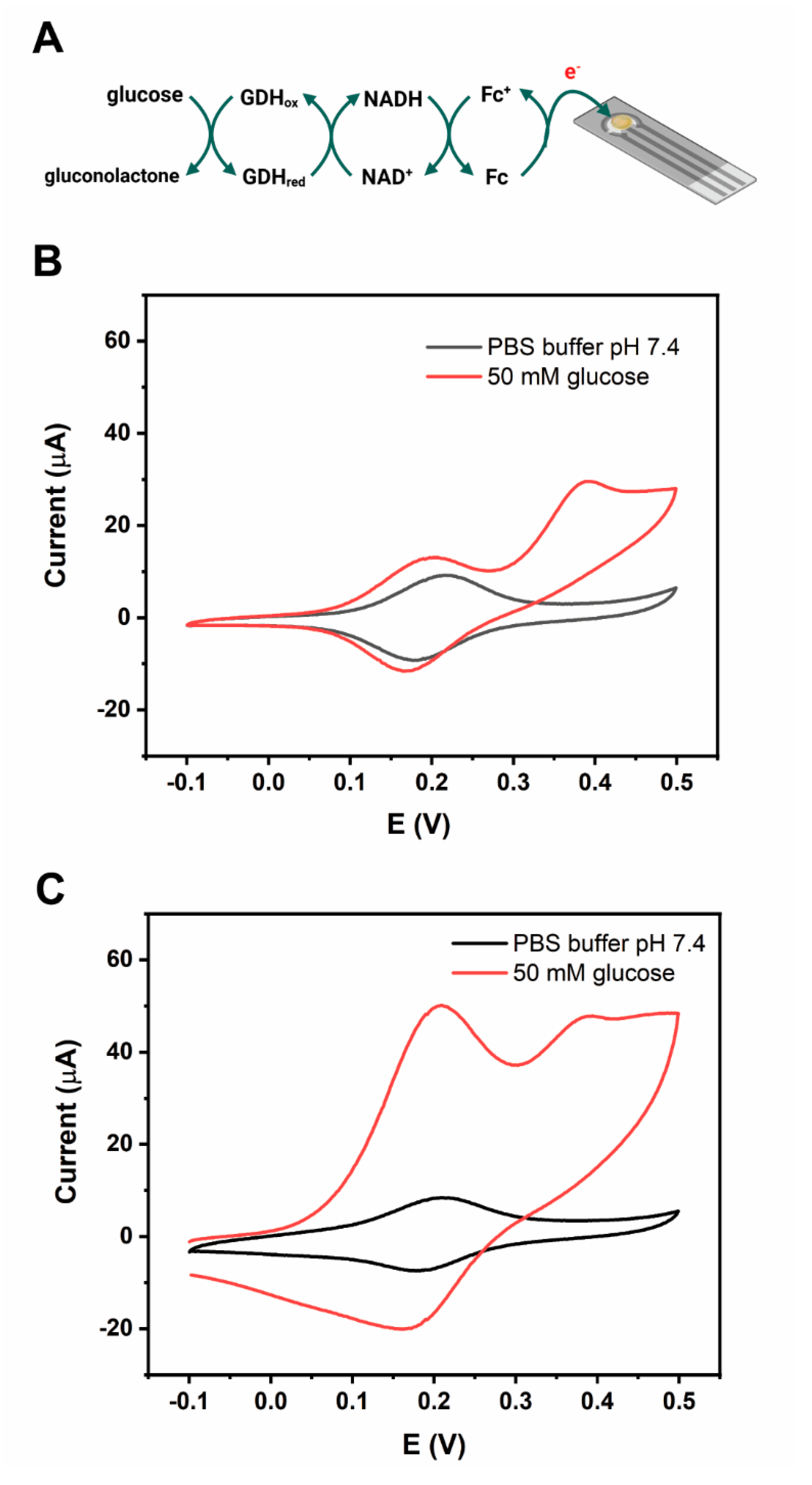 Biosensors 14 00161 g001